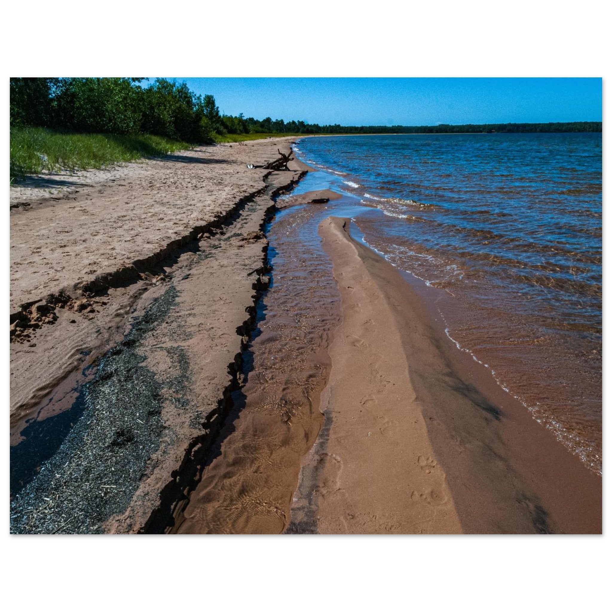 7ce1af4f-a87a-4d0b-b135-628226692876