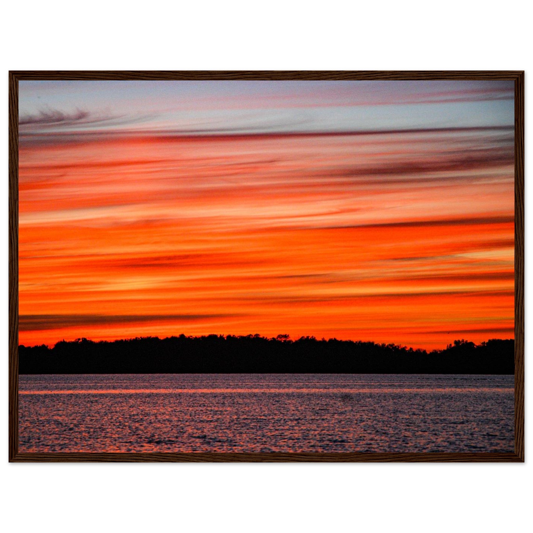 7ce6cfd6-9d3f-43c4-be5a-76e0e2e2c436