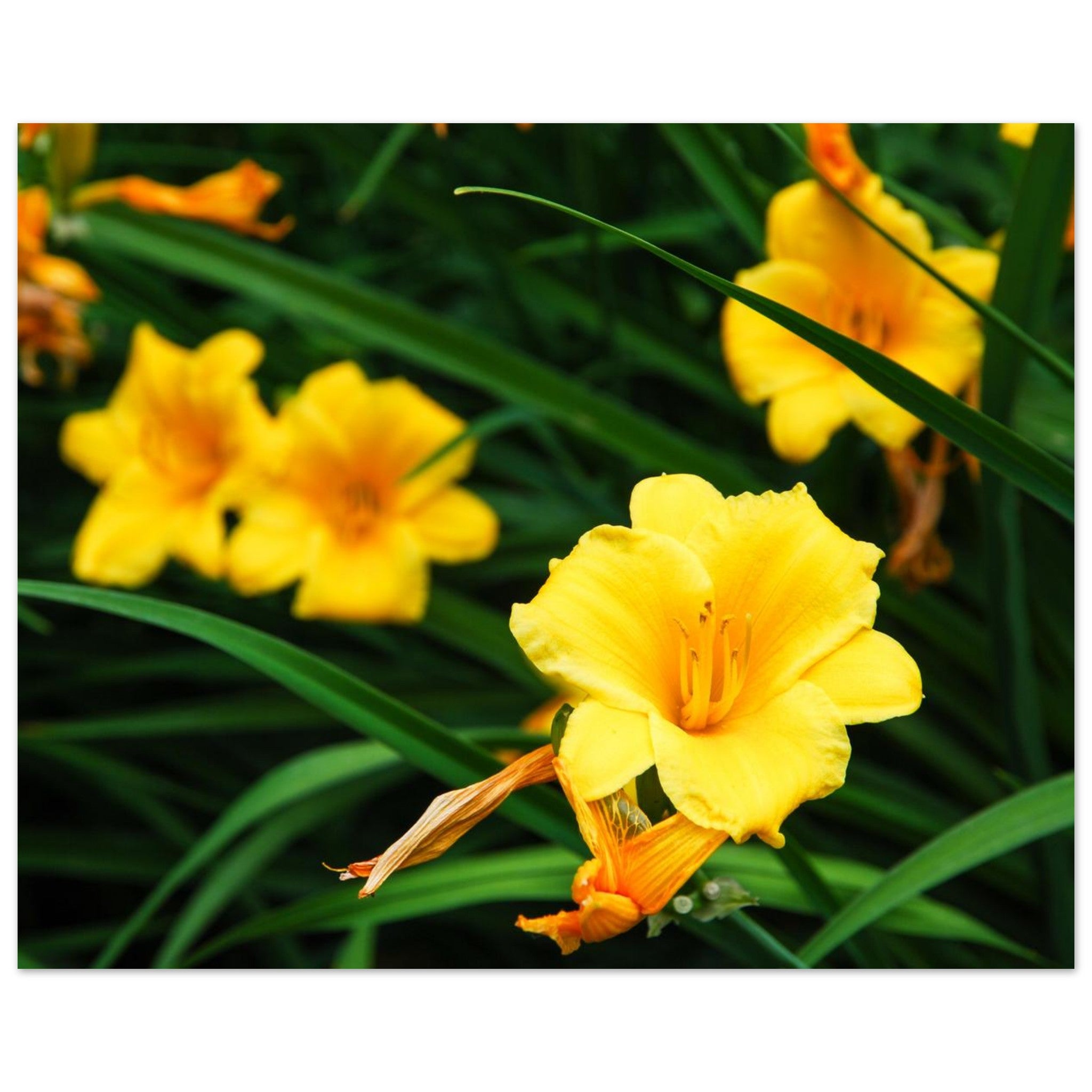 7f39b726-9f2e-4e23-ae43-88f2e9a90c4c