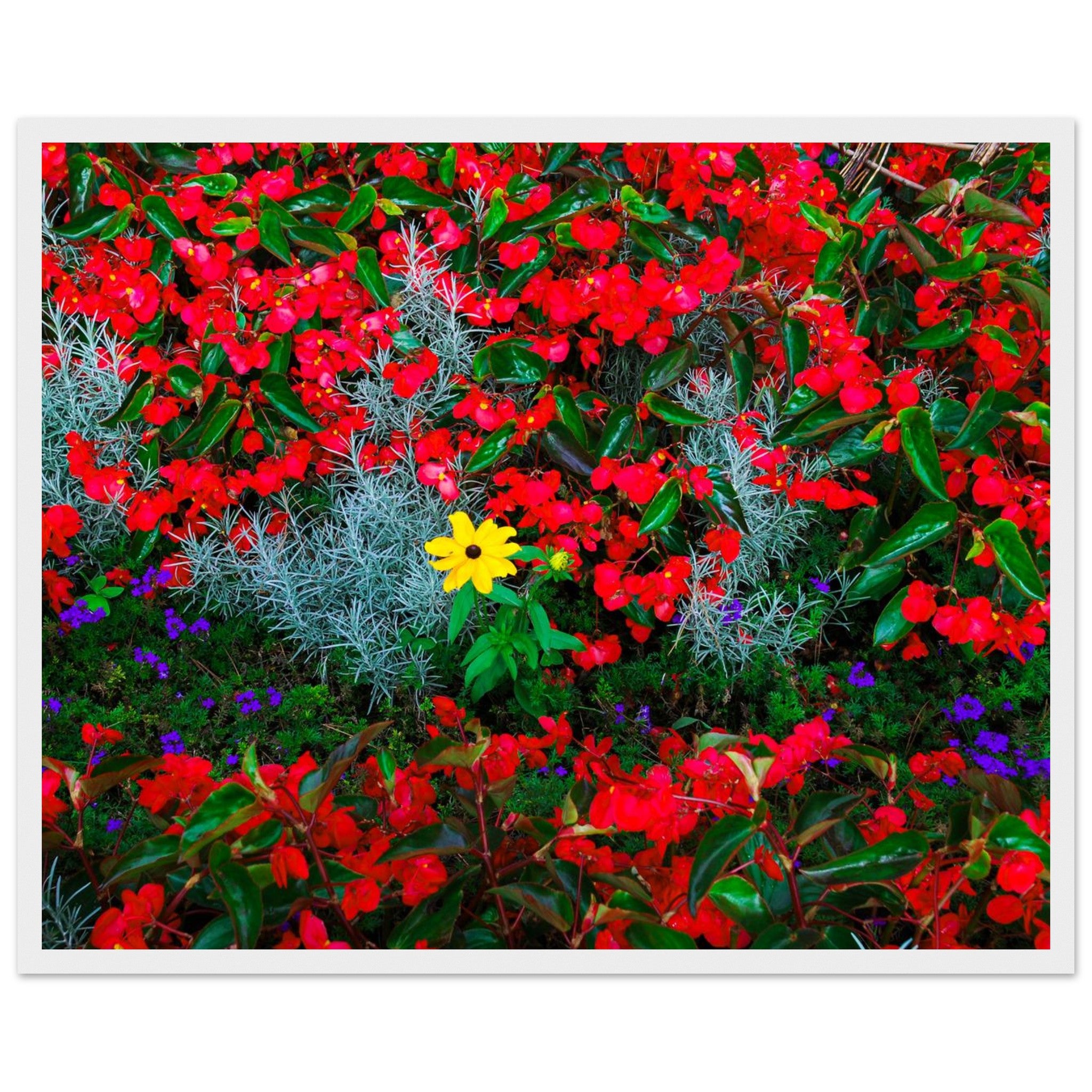 8157b219-de8c-4070-96e1-f4489fd450ab