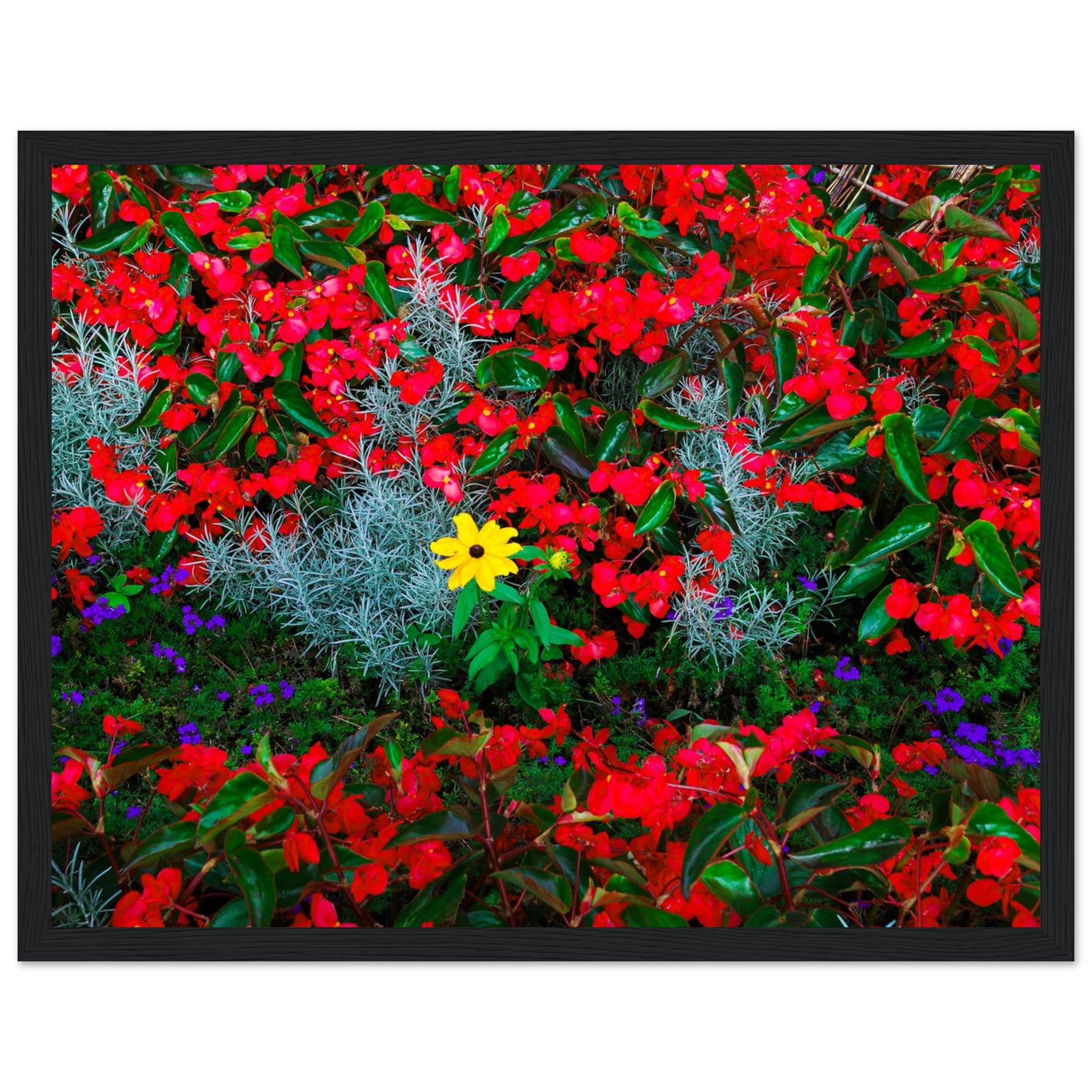 818436c7-d6fe-4ee3-9fd5-1feb7ea7e90a