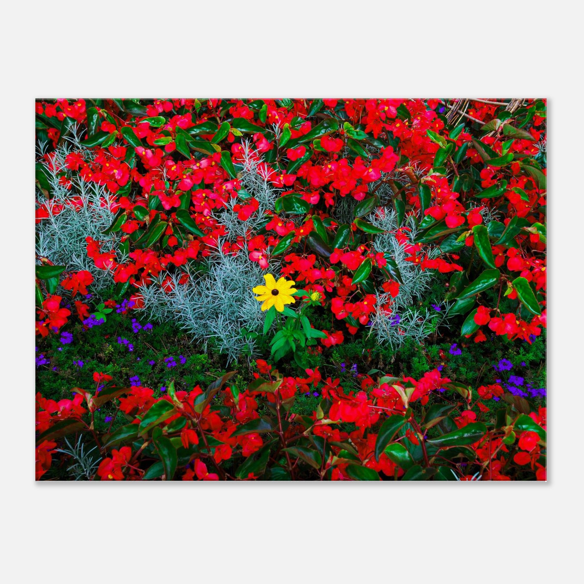 81c7bb1e-acf3-478d-a33f-db1b8abbafa6