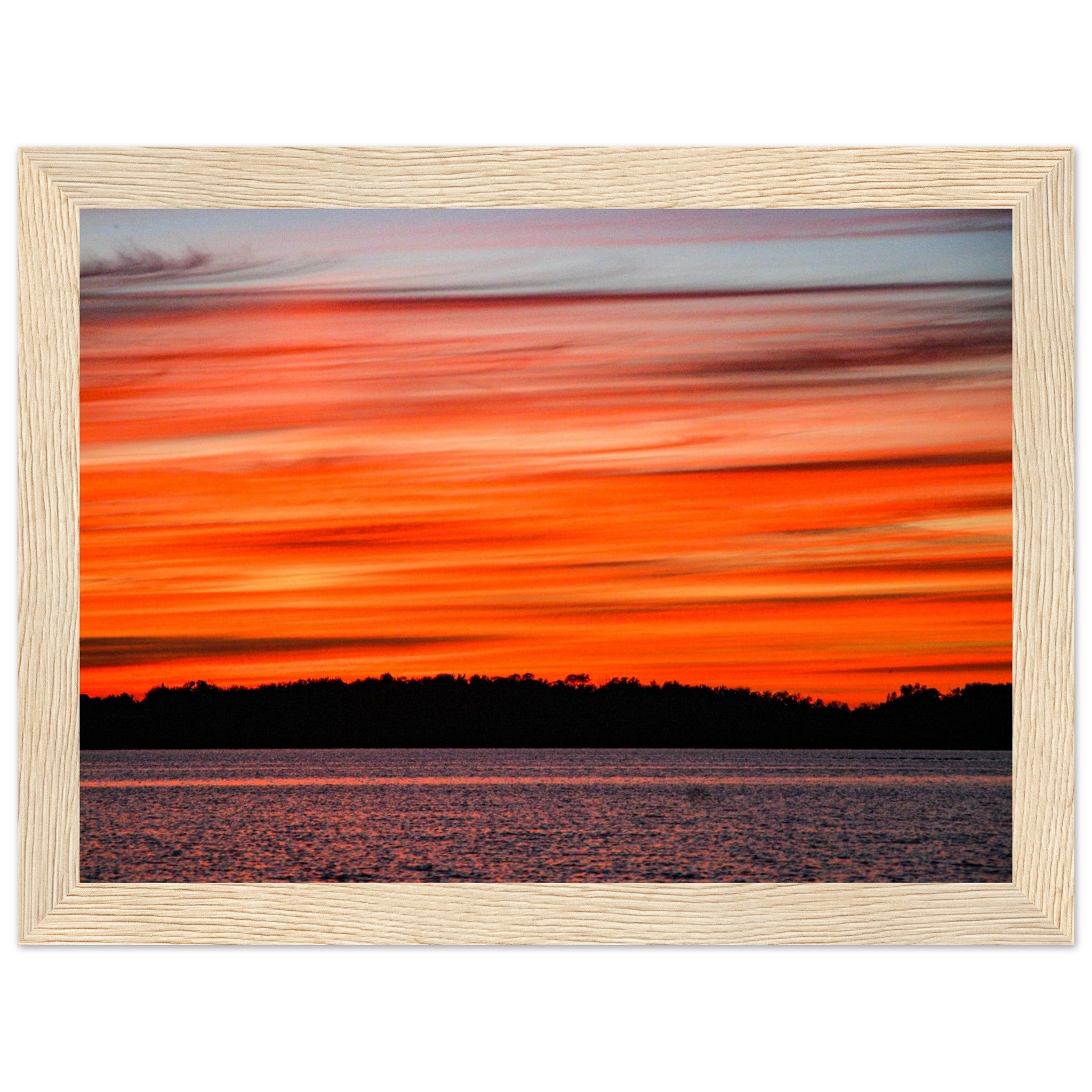 81eeadcd-fe65-49fc-b331-0f49476064f5