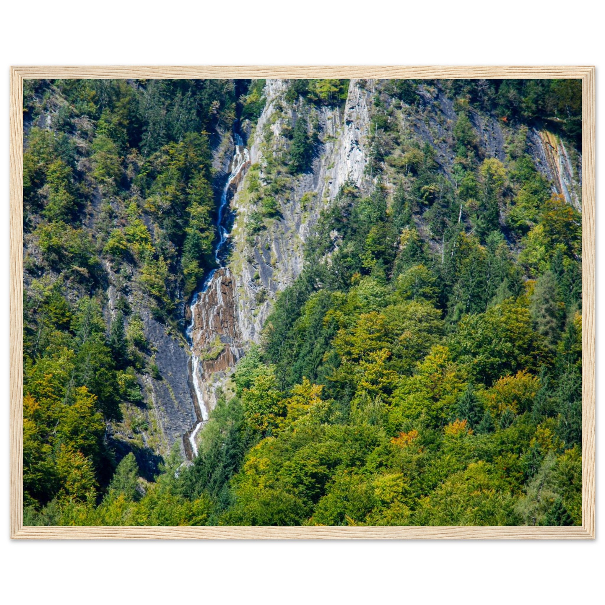 8289f5b5-e615-4813-b266-ebf00fd89ba9