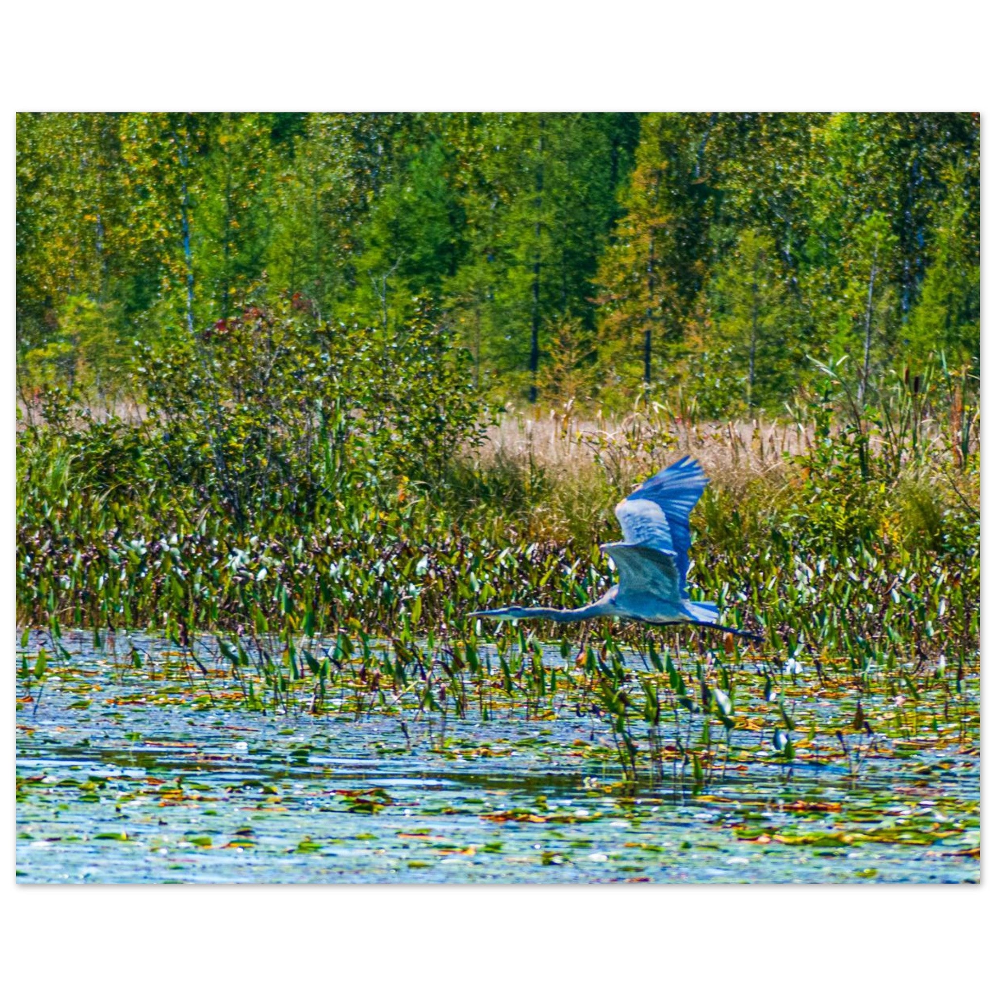 83bfb5fe-6c63-4058-812a-46fcaf96df6e