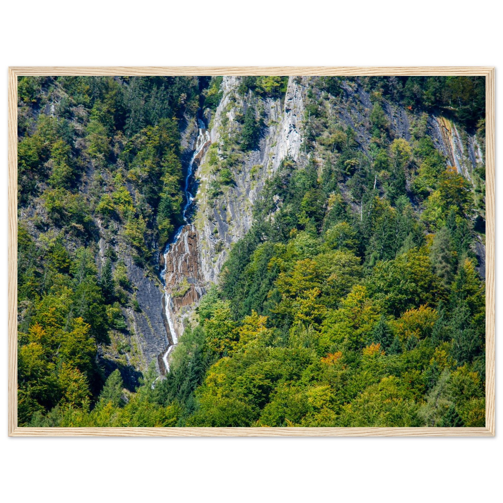 8435f6de-cd1f-4741-9dfe-7977e7dc8417