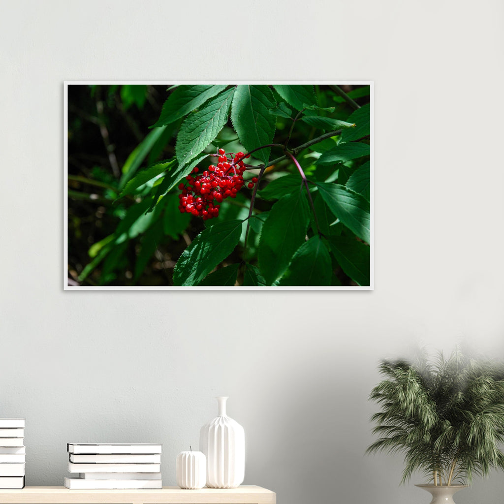 84fef4af-b7e4-4b15-a1c3-b42ce1de401d