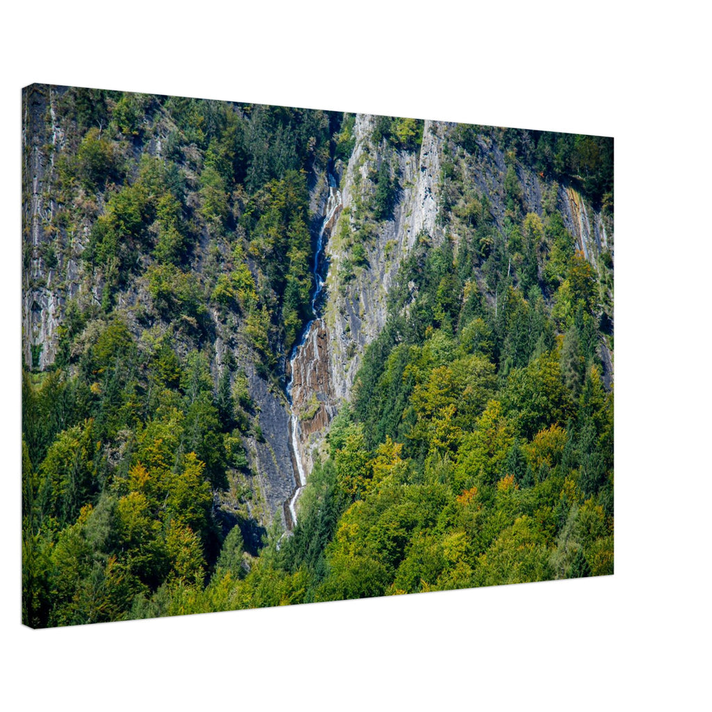 86ed8bf4-f13a-4ac9-ae68-651d053d8f41