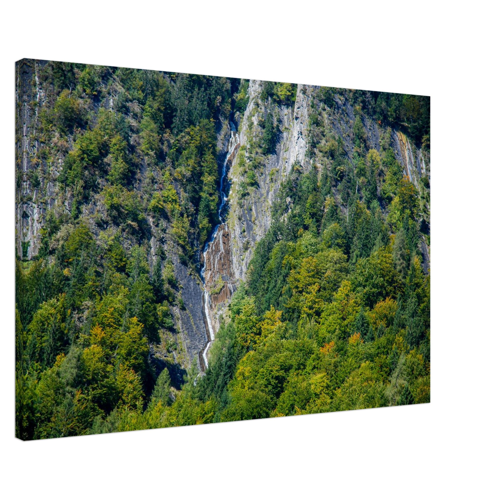 86ed8bf4-f13a-4ac9-ae68-651d053d8f41