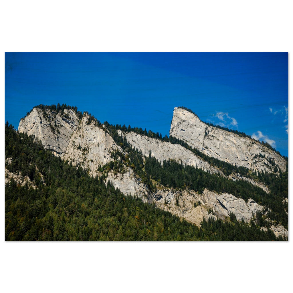 8812e4fe-83be-4a50-aa19-383159530a4e