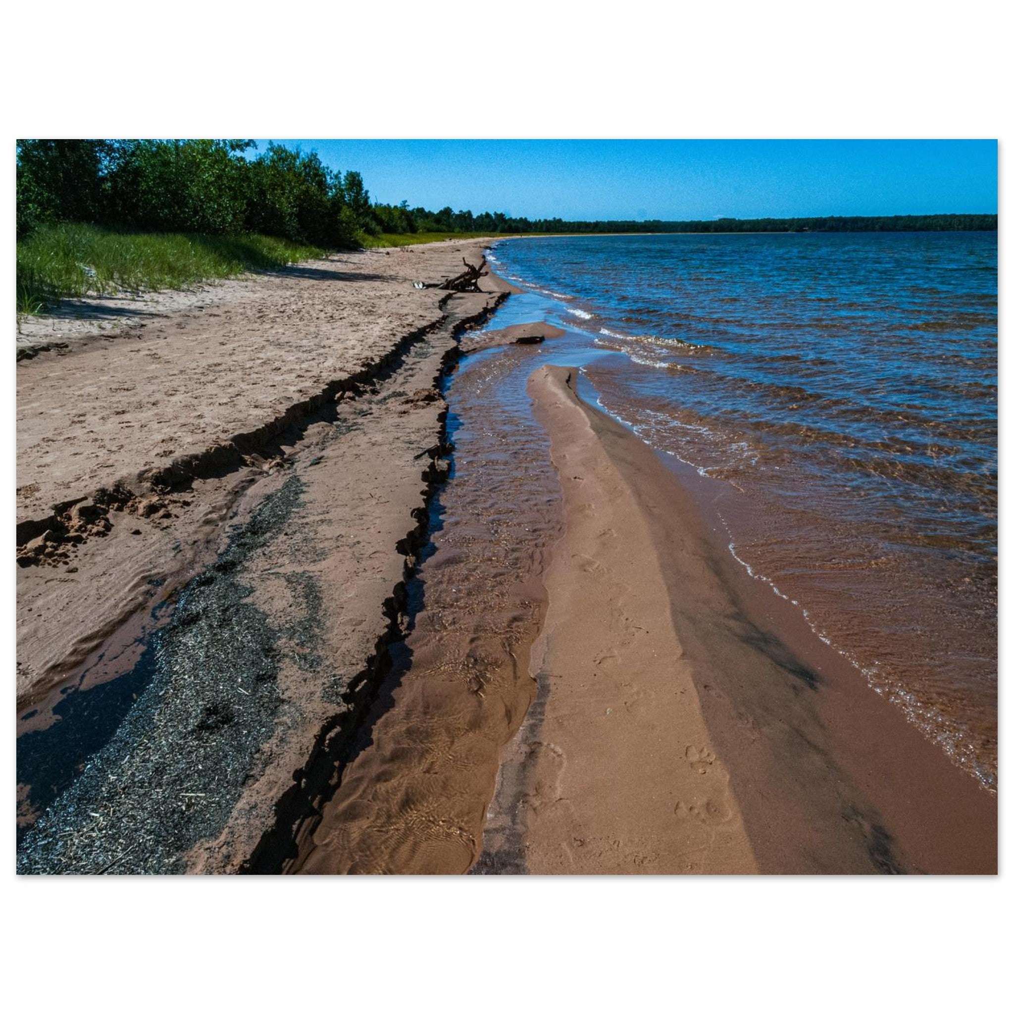 8c1bae02-ea11-47d4-a025-9591e291ec50