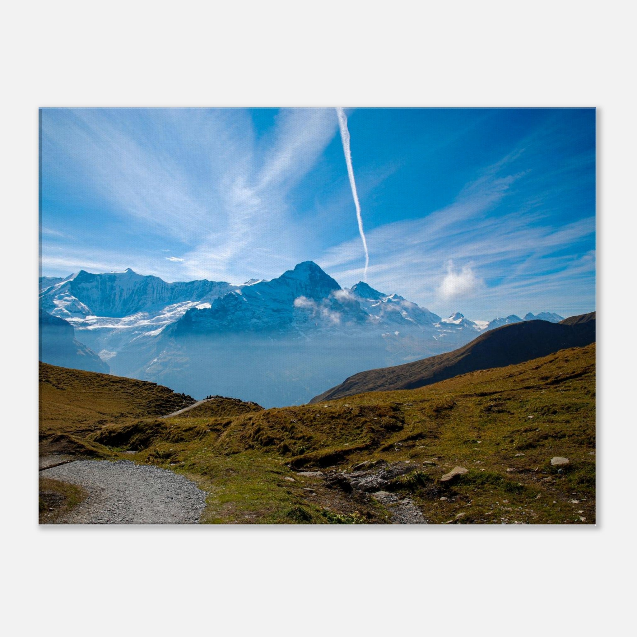 8c6fac51-e7ee-4fb2-abaa-35e6e4636e8e