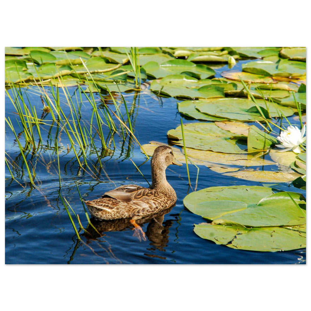 8cd052d9-4157-495e-80cf-36b657bb59dd