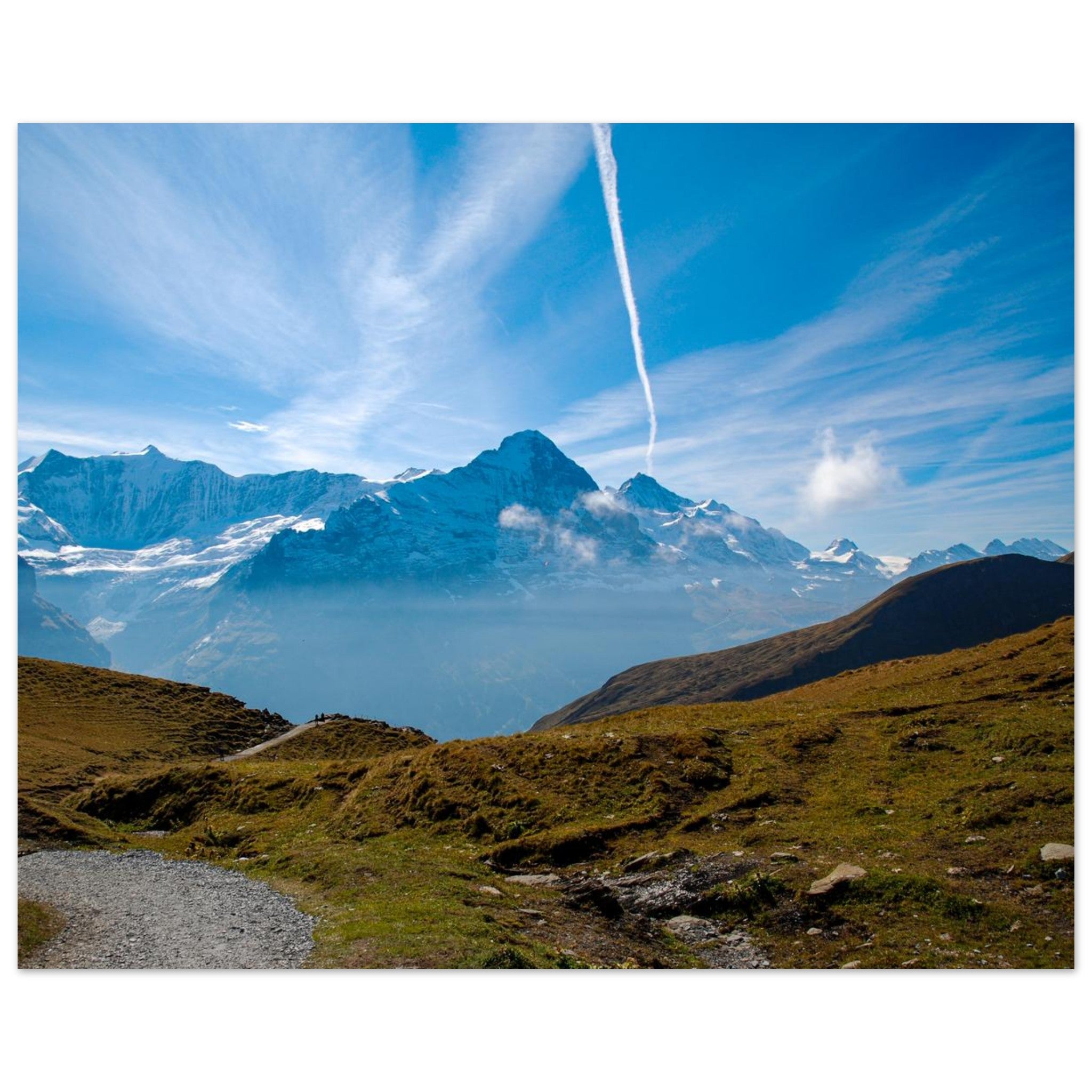 8d2d4cf1-3c92-4126-a7e0-856644fceaaf