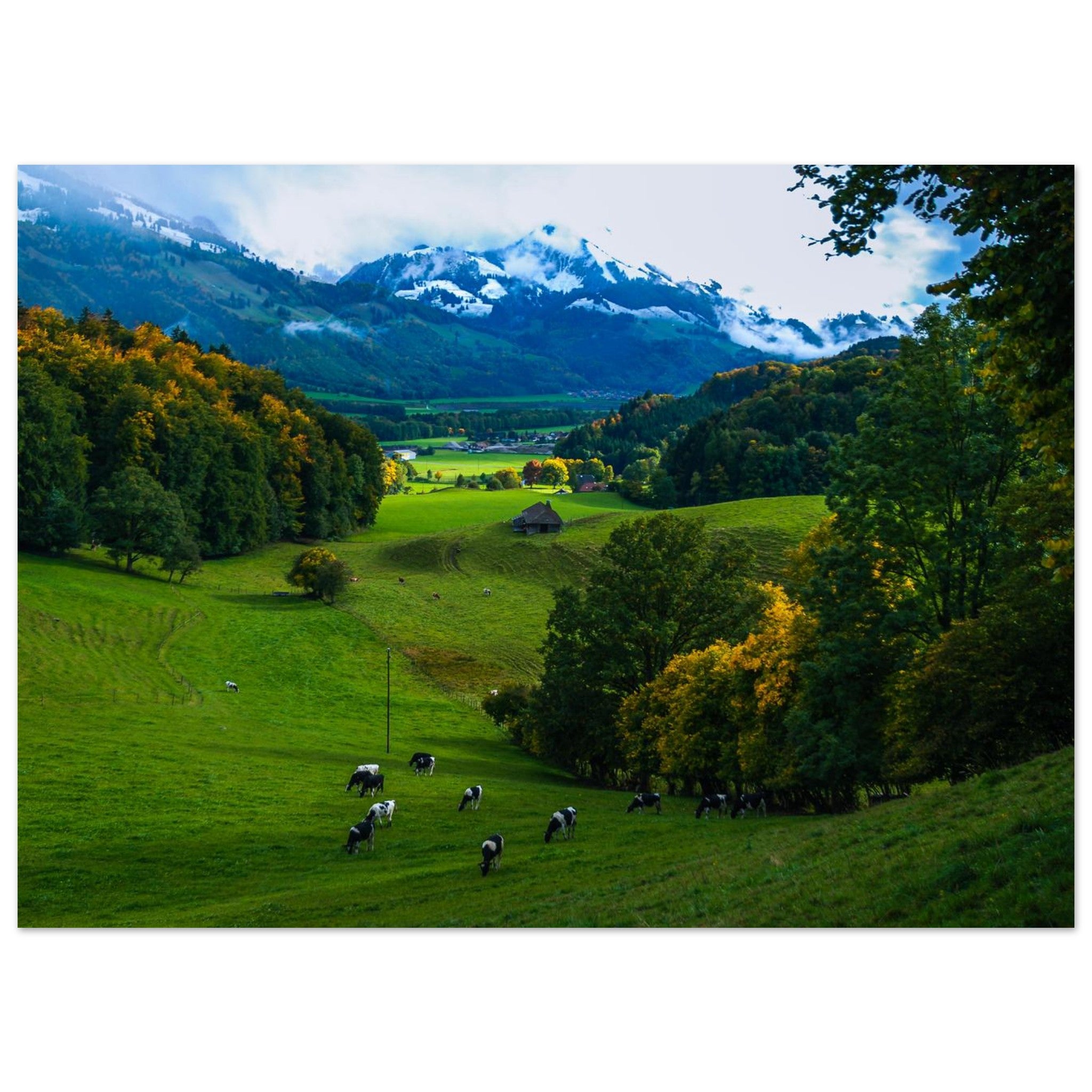 8e5be986-8f01-4d9c-9a6f-d892365cf7eb