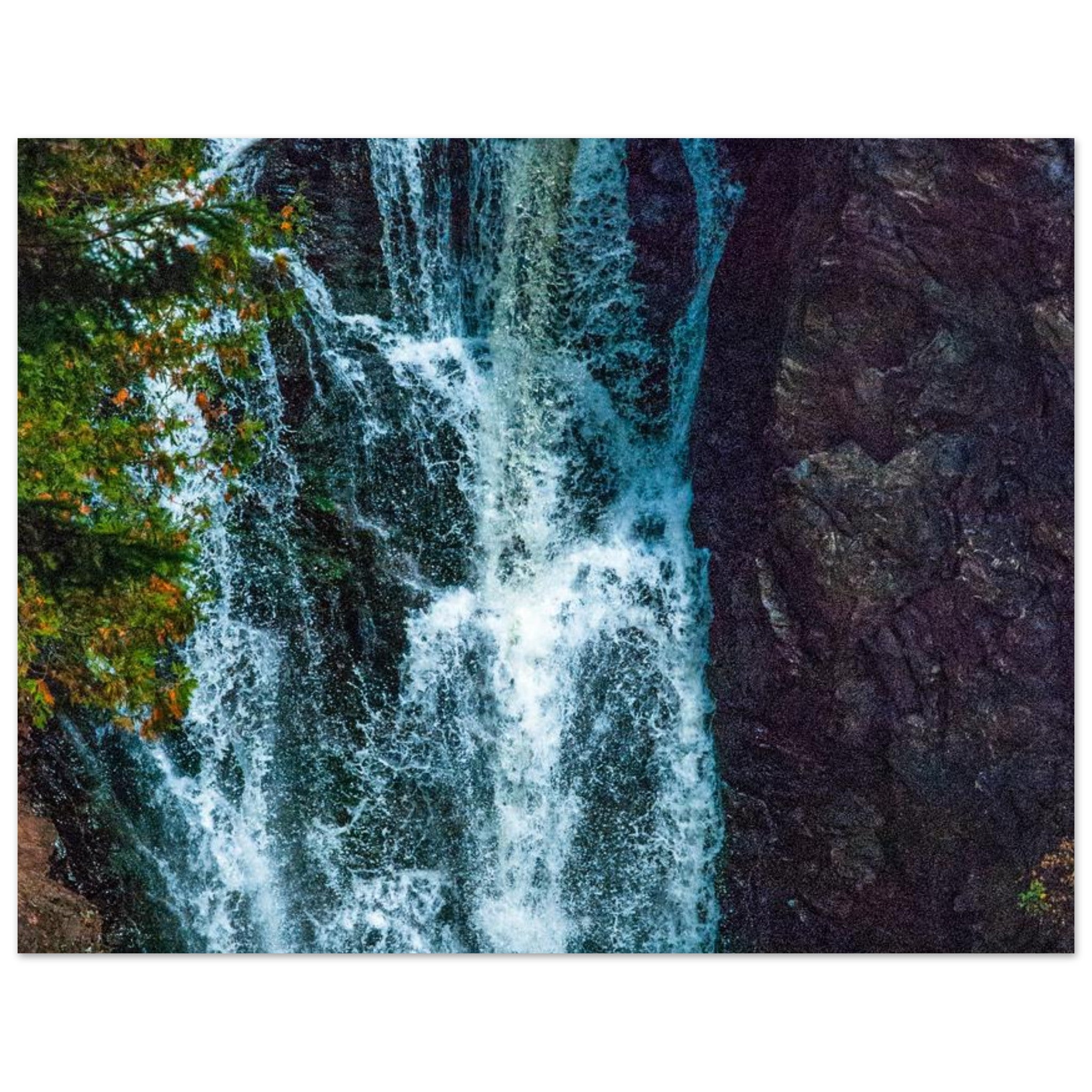 8f229a96-bbdb-49cf-accc-23cd05e5d38d