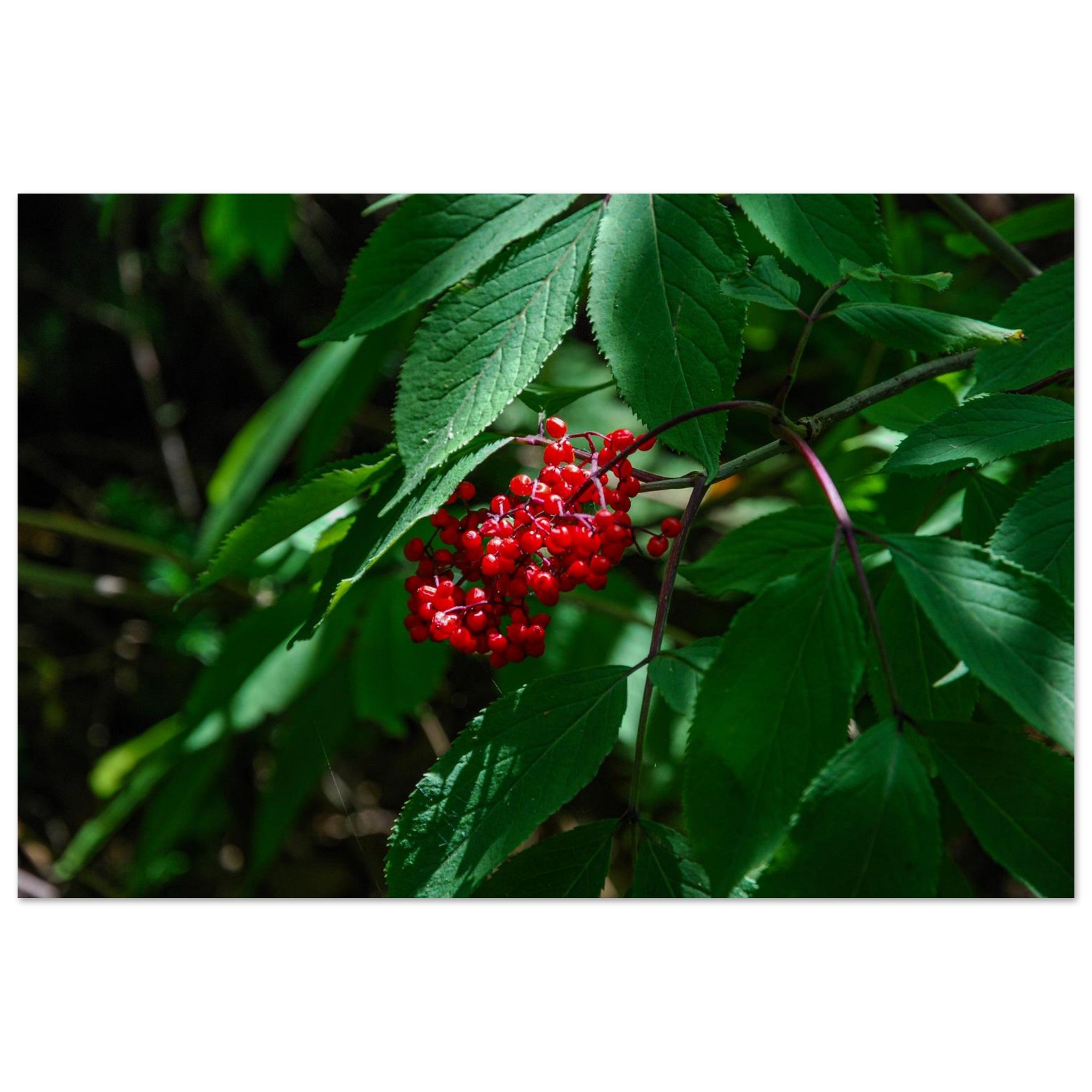 8fc8bc9f-e73f-44e1-a0ae-3a09a436508a