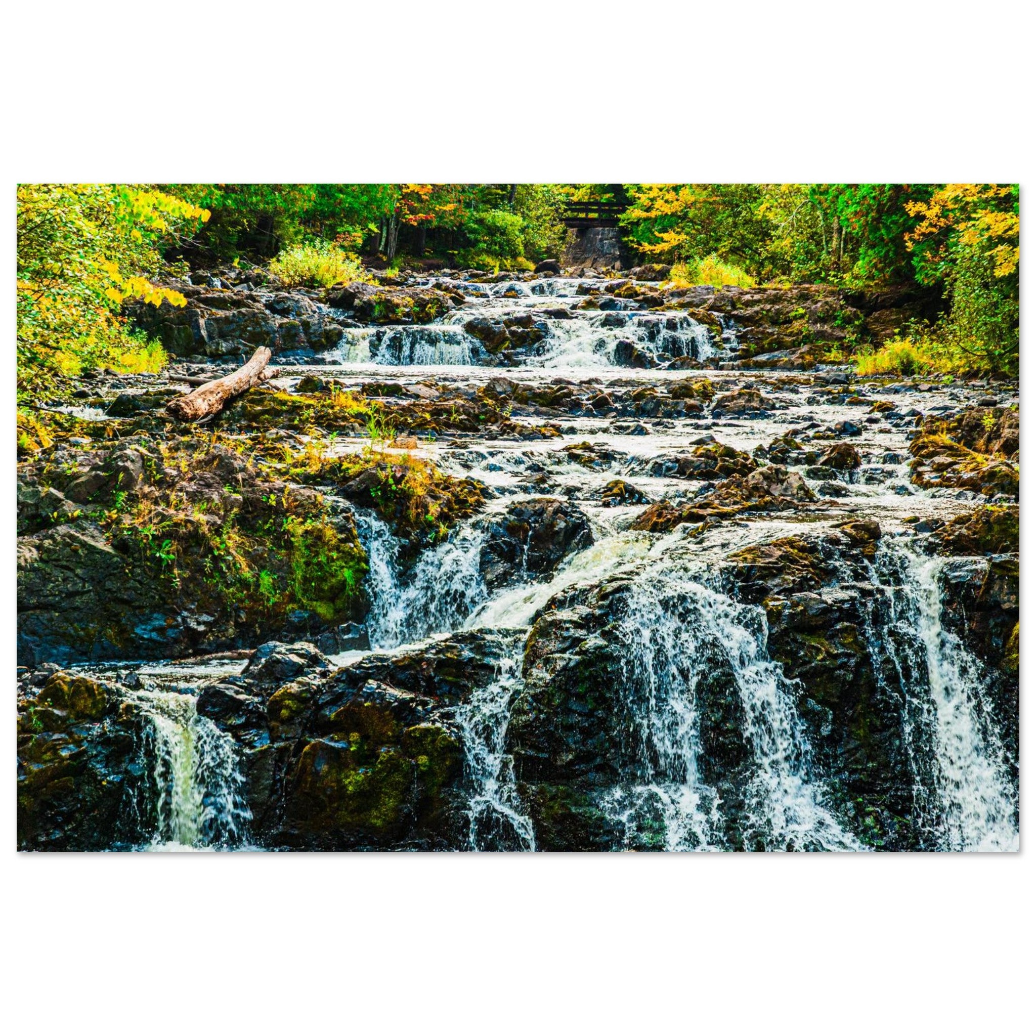 9010a4e8-bdf5-4cfd-b0d5-31dbc4d9ae51