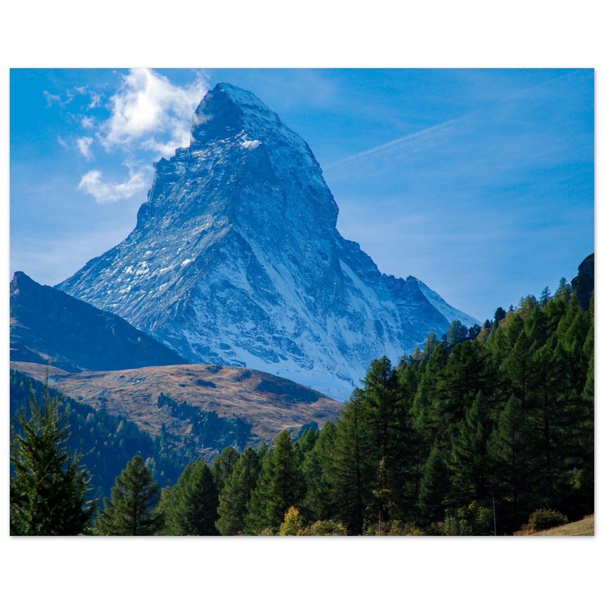 91459d01-b4e4-4a41-bed3-695518ff88df