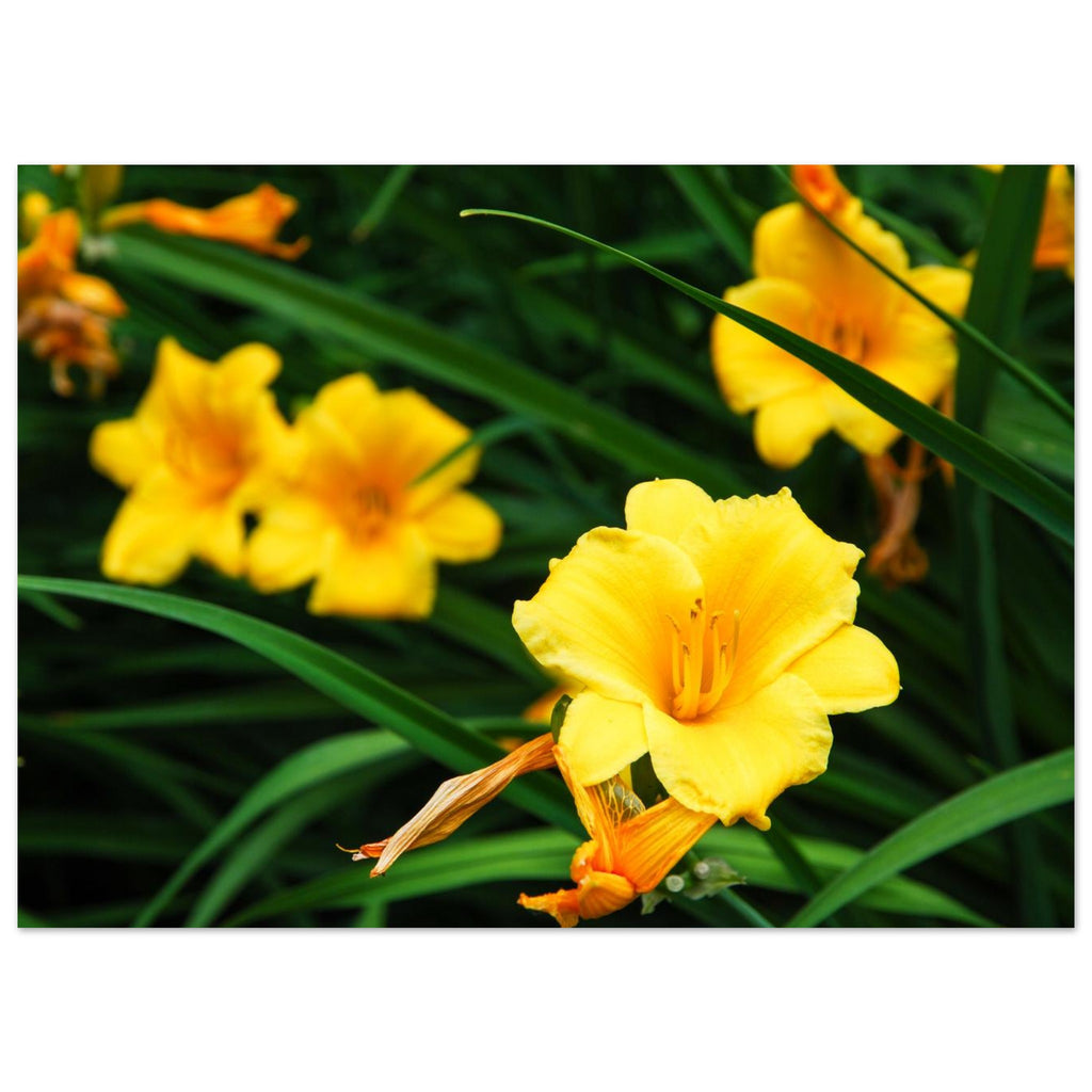 91a70250-5ca2-45a2-9324-c6bf7520b802