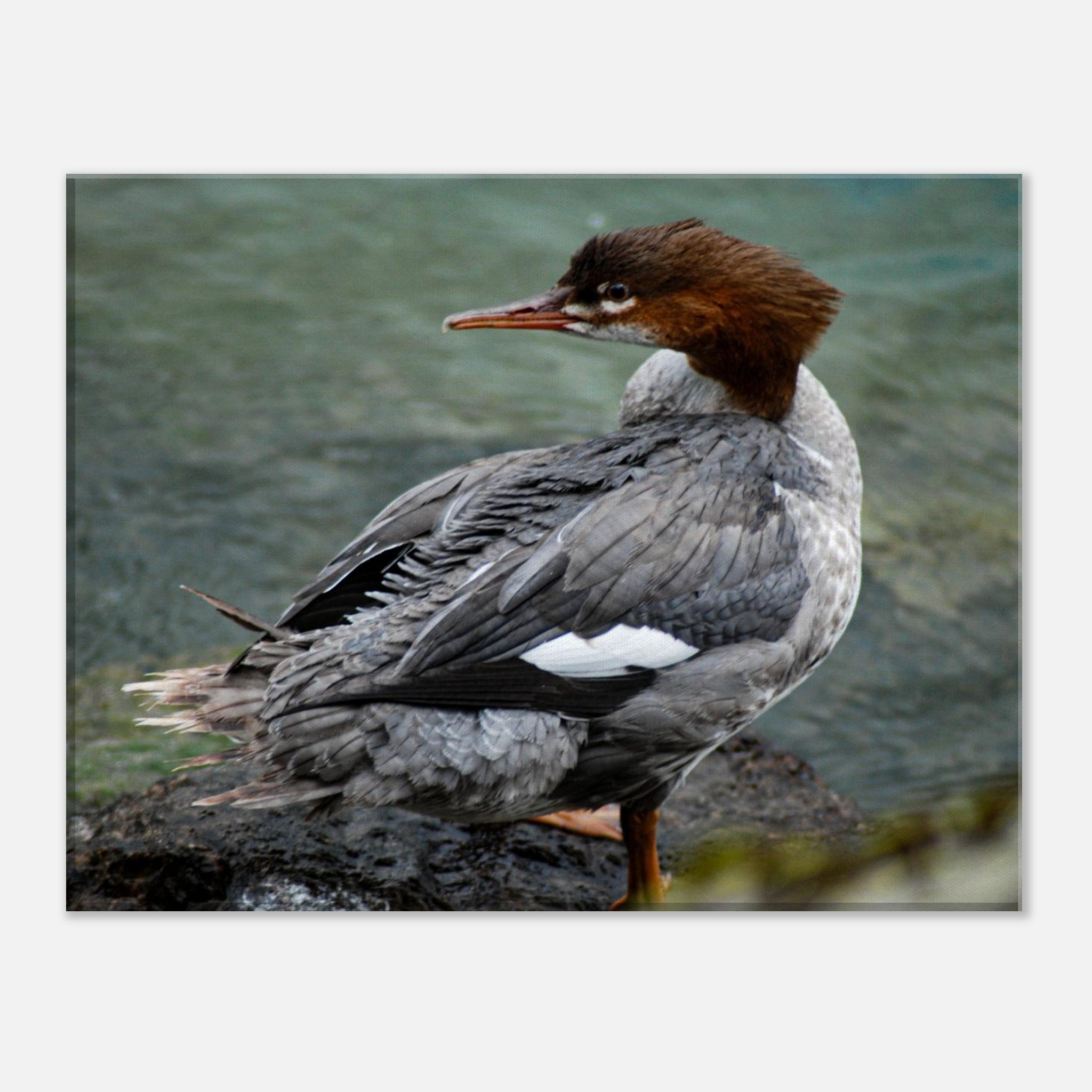 93bc476f-ee7c-4a1c-b949-a3865243cd6a