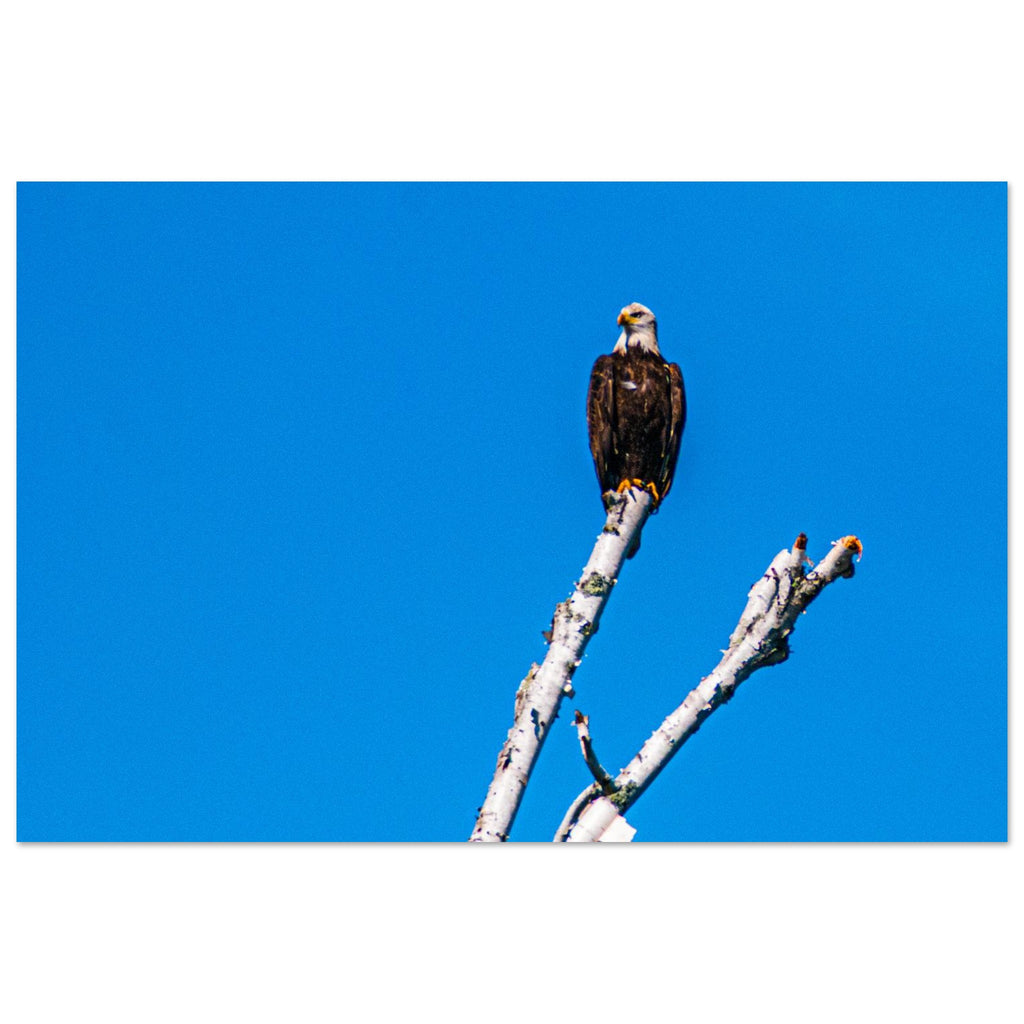 94a01658-a351-42b9-9f26-08f2da7c6864