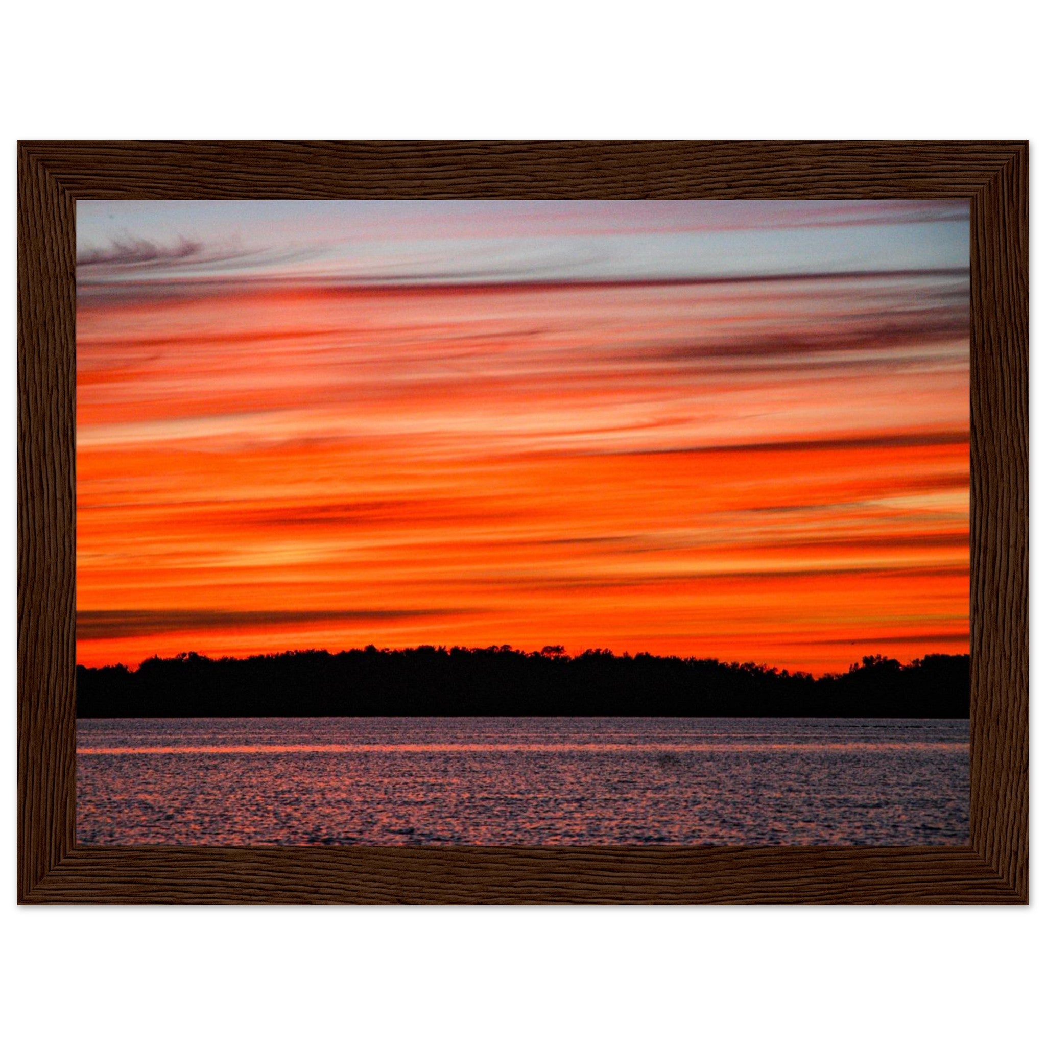 958fb0ca-8129-407e-89f9-1b620795440a