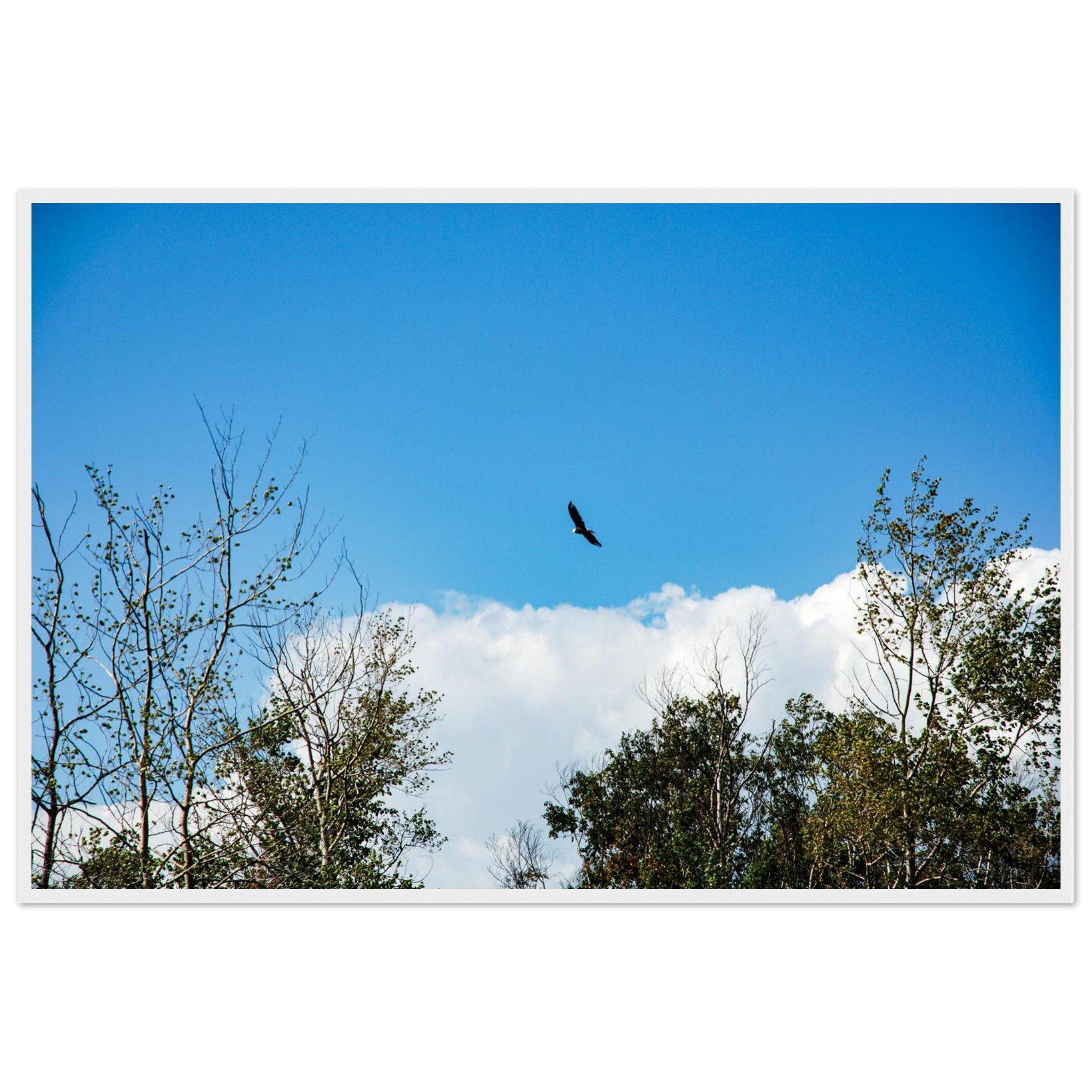 95b7fd29-76ba-4566-bffe-9b847a0bcdac