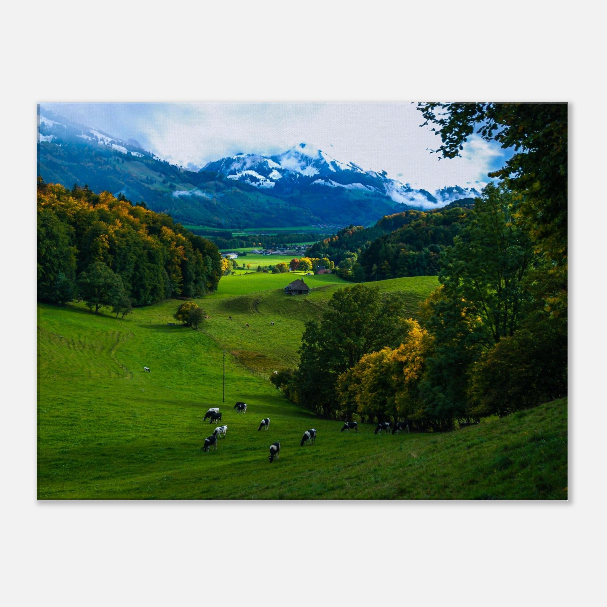 9647401d-06b6-41f2-8e8b-c88bacf47753