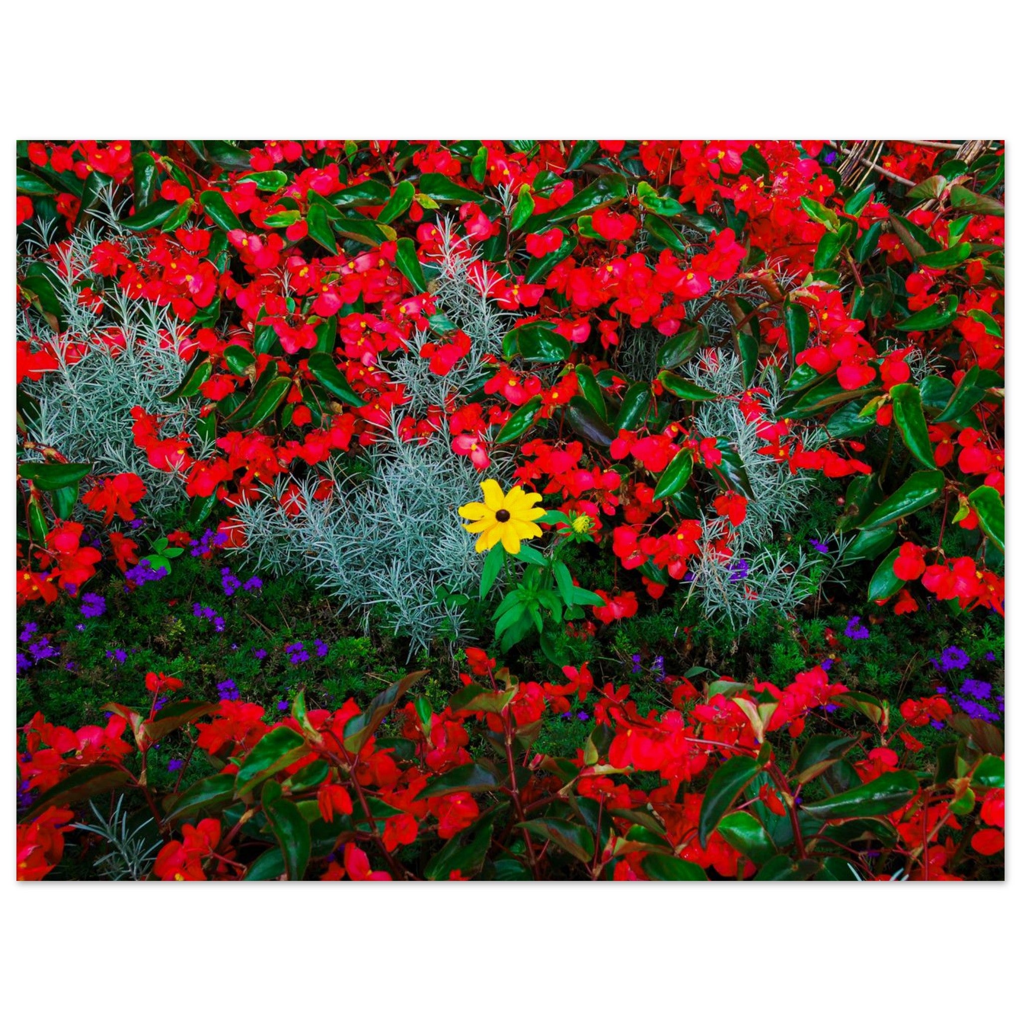 9675e78a-c83c-4c00-a11d-329c9fcc7fab