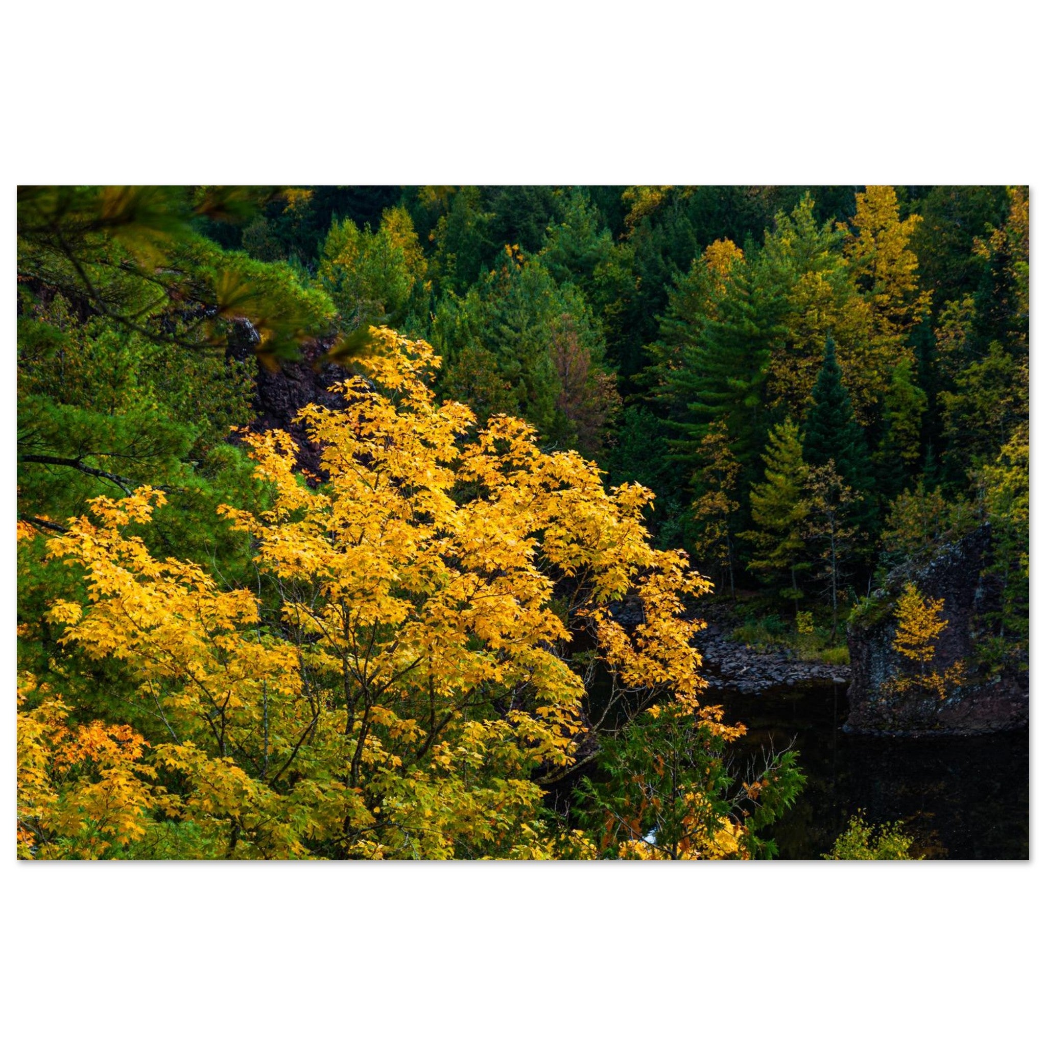 97567108-a197-49a3-92d3-684f53f4c350