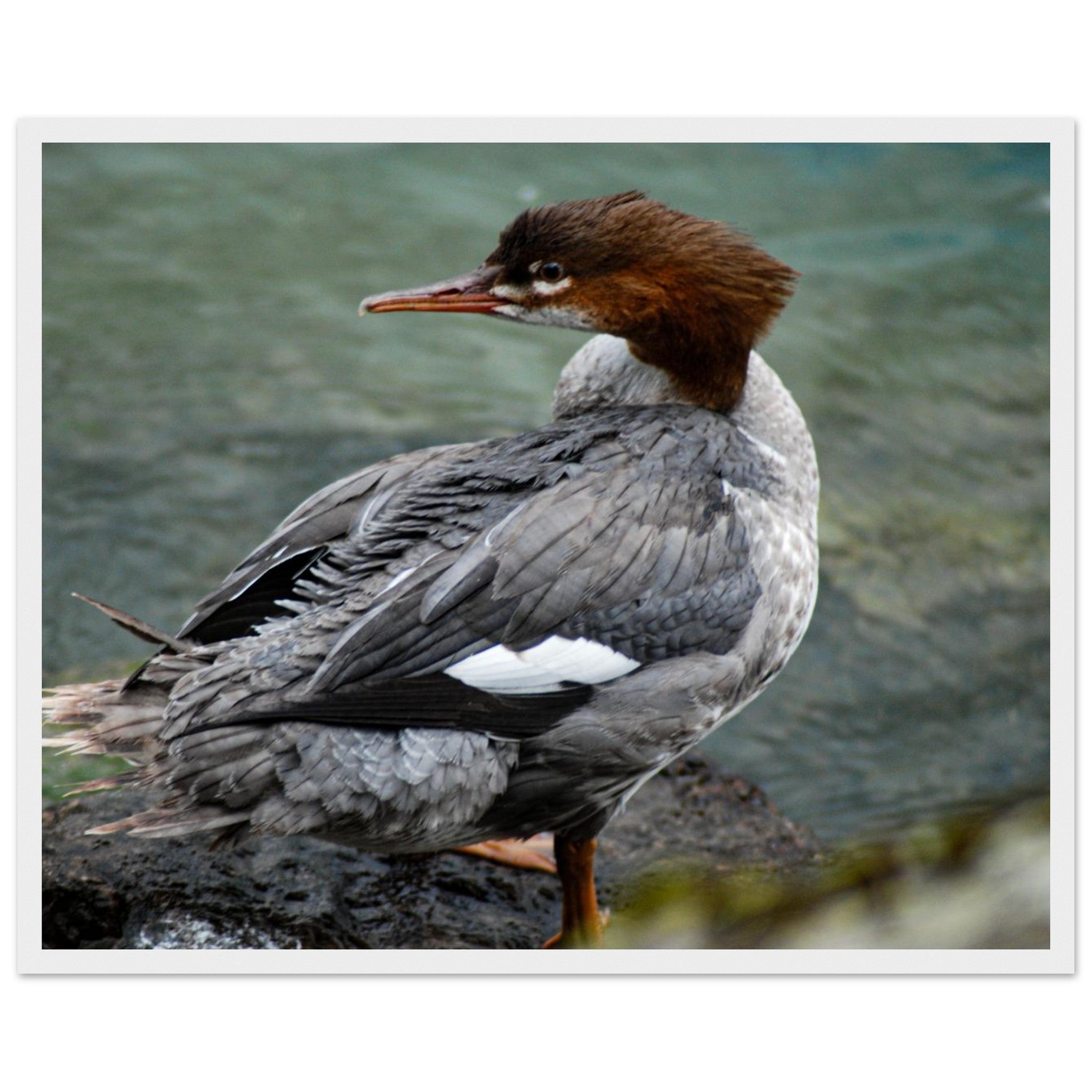 975b0fa7-f094-440f-a72b-2ca24e356091