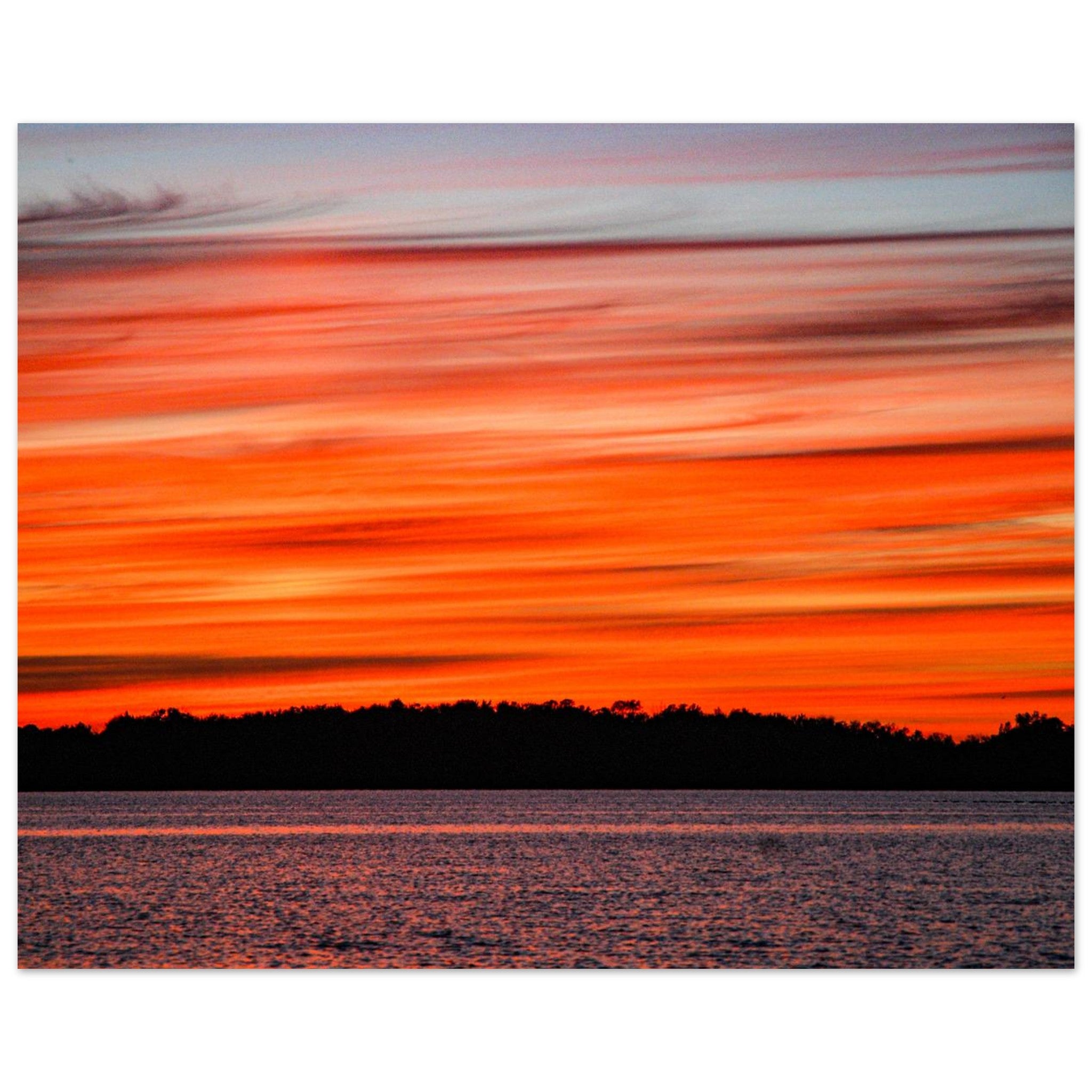 9822b323-8cd5-448f-a928-2b8b71dc6911