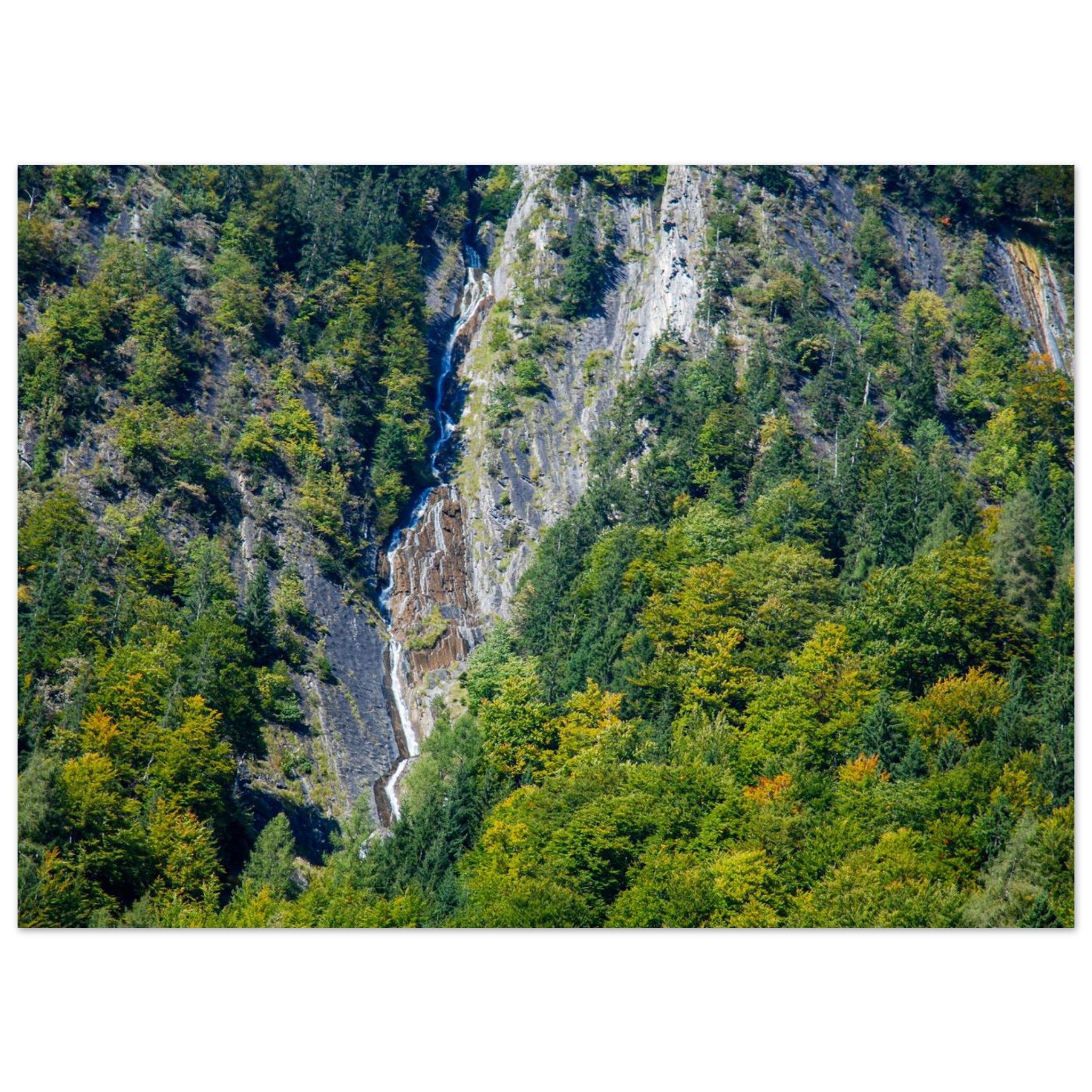 992fa94b-f5b9-47b0-a3c6-59dee43fdf76