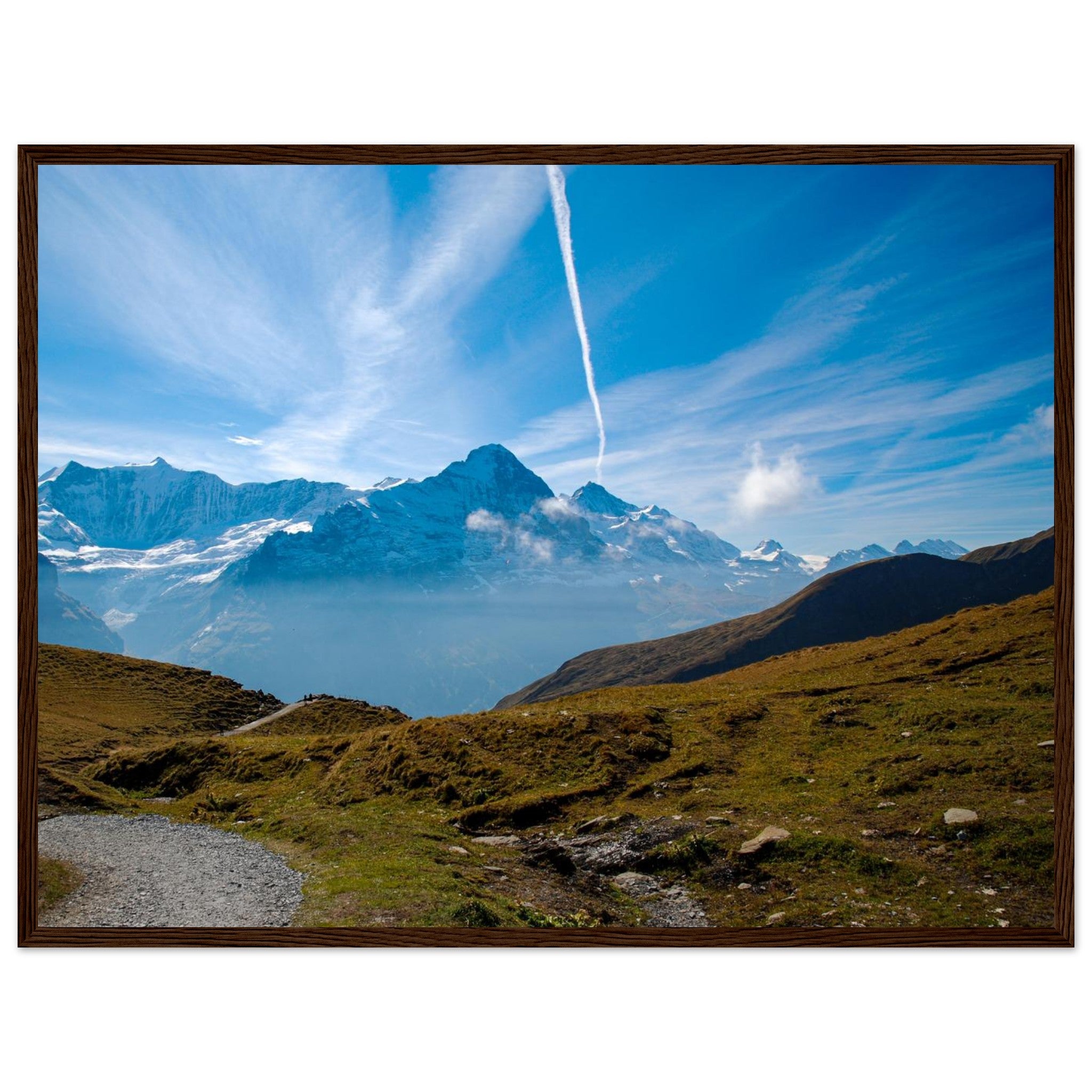 993cae81-02d7-4852-b428-5f5292cd2c77