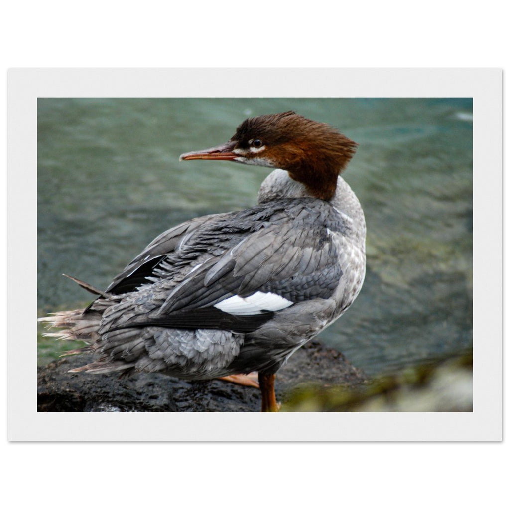 99f06056-0ab4-4d50-a983-98cbcff7b65a