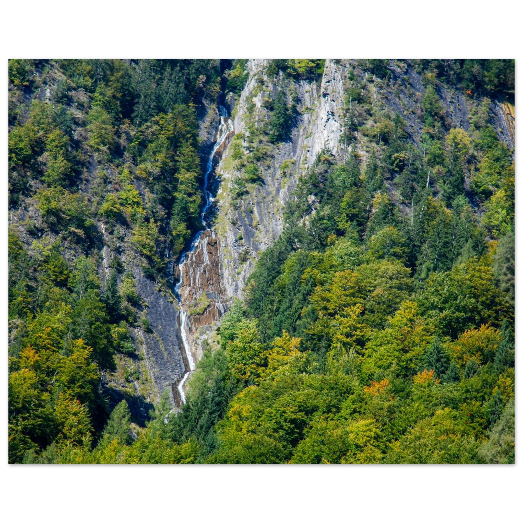 9a1723bd-22f0-4348-ab77-3dbfeeb210b0