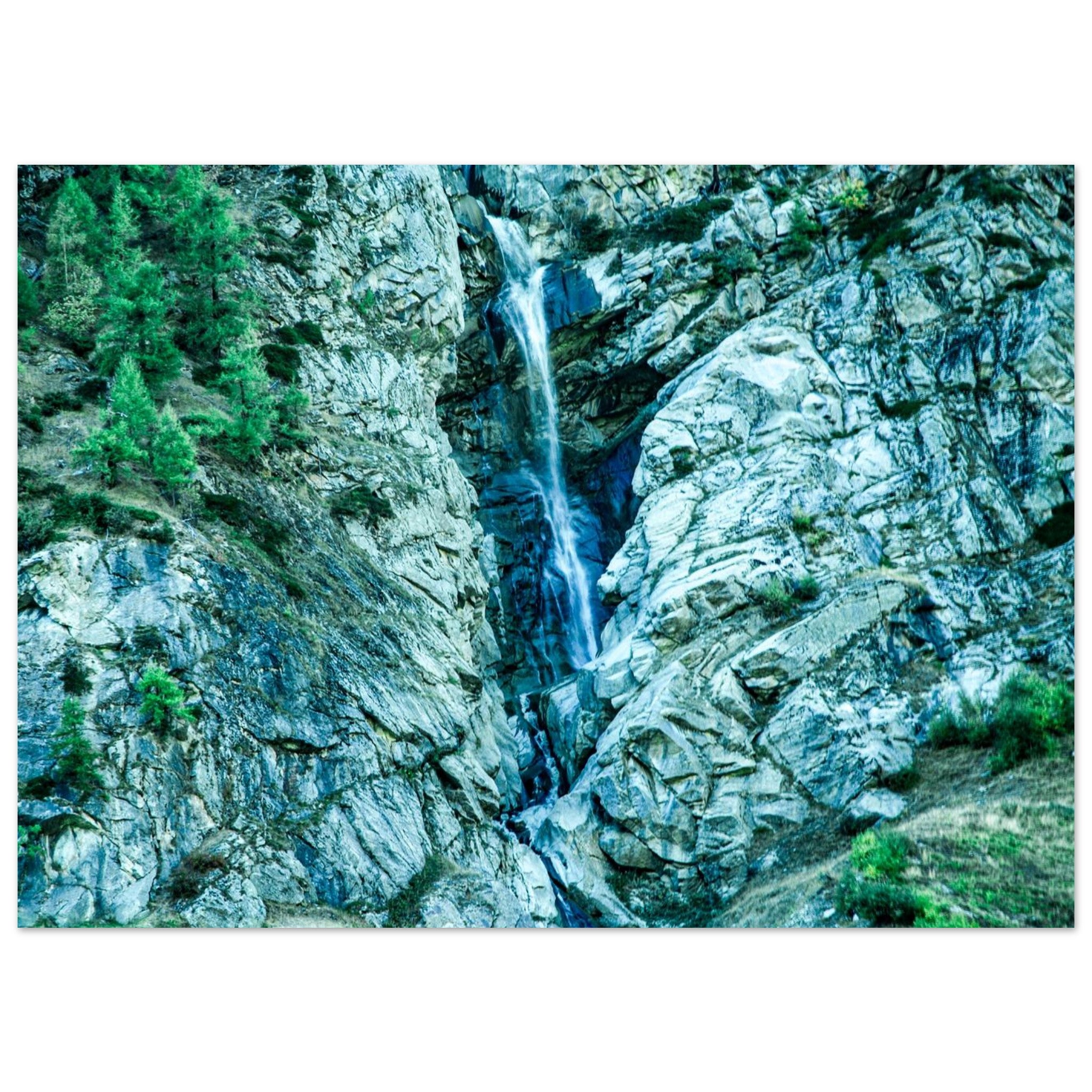 9a641256-6fb0-4fd8-838d-a39a77db569c