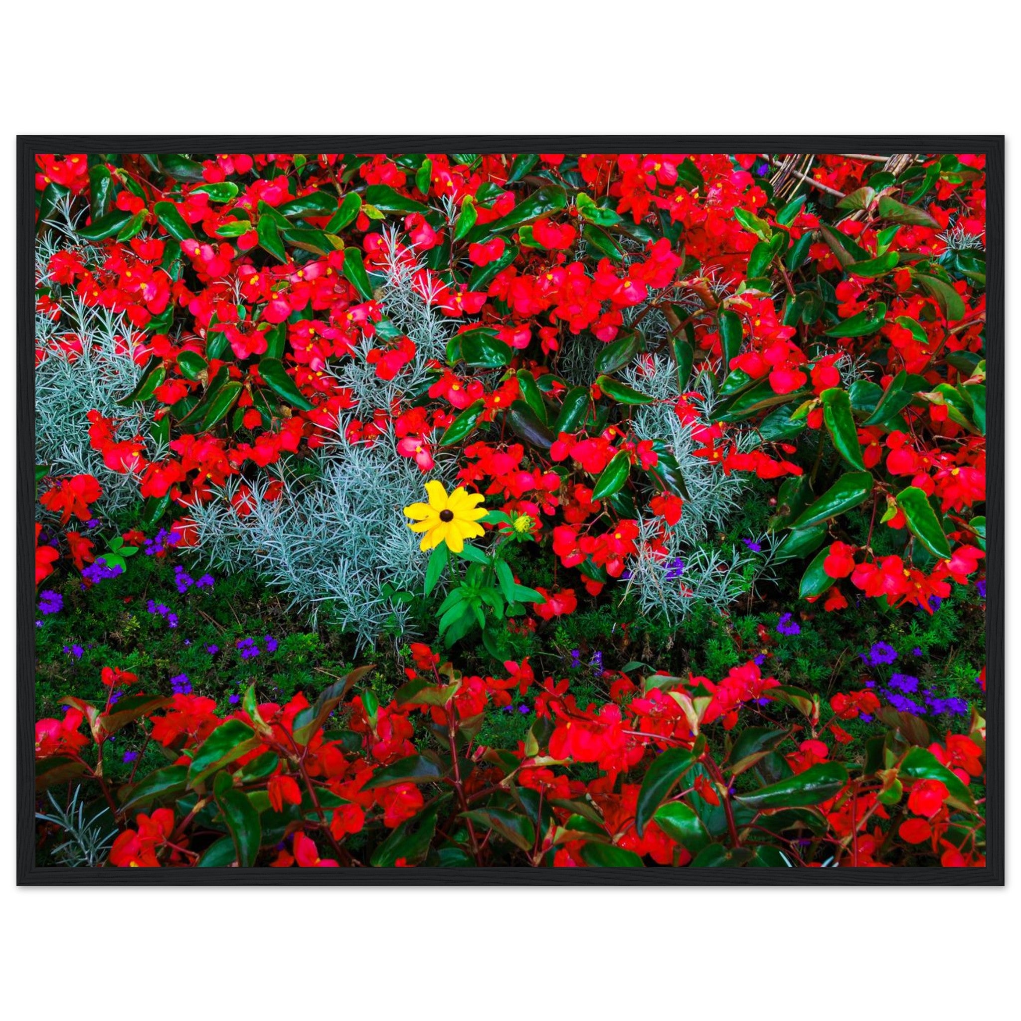 9b432ceb-a4ea-42c0-8106-c845c805427d