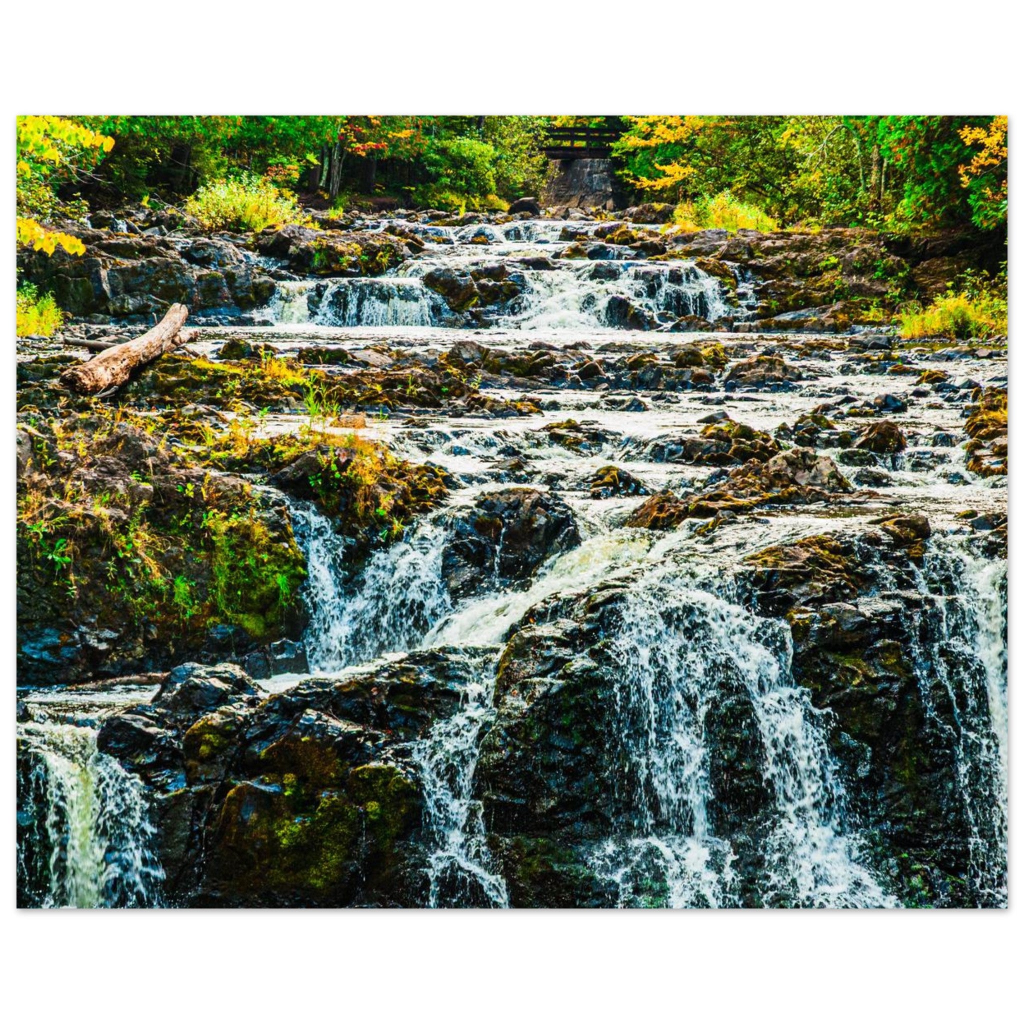 9ba4d3cf-3b2f-4950-8908-2e597e466972