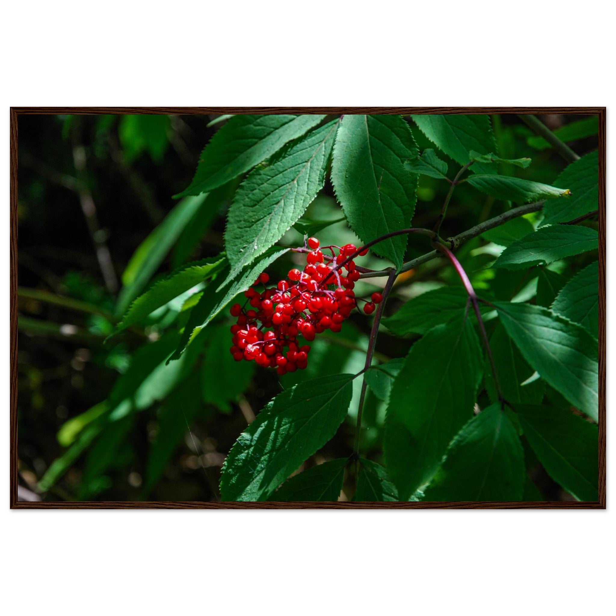 9d27302b-64f5-4bf2-8302-dce75ac831cf