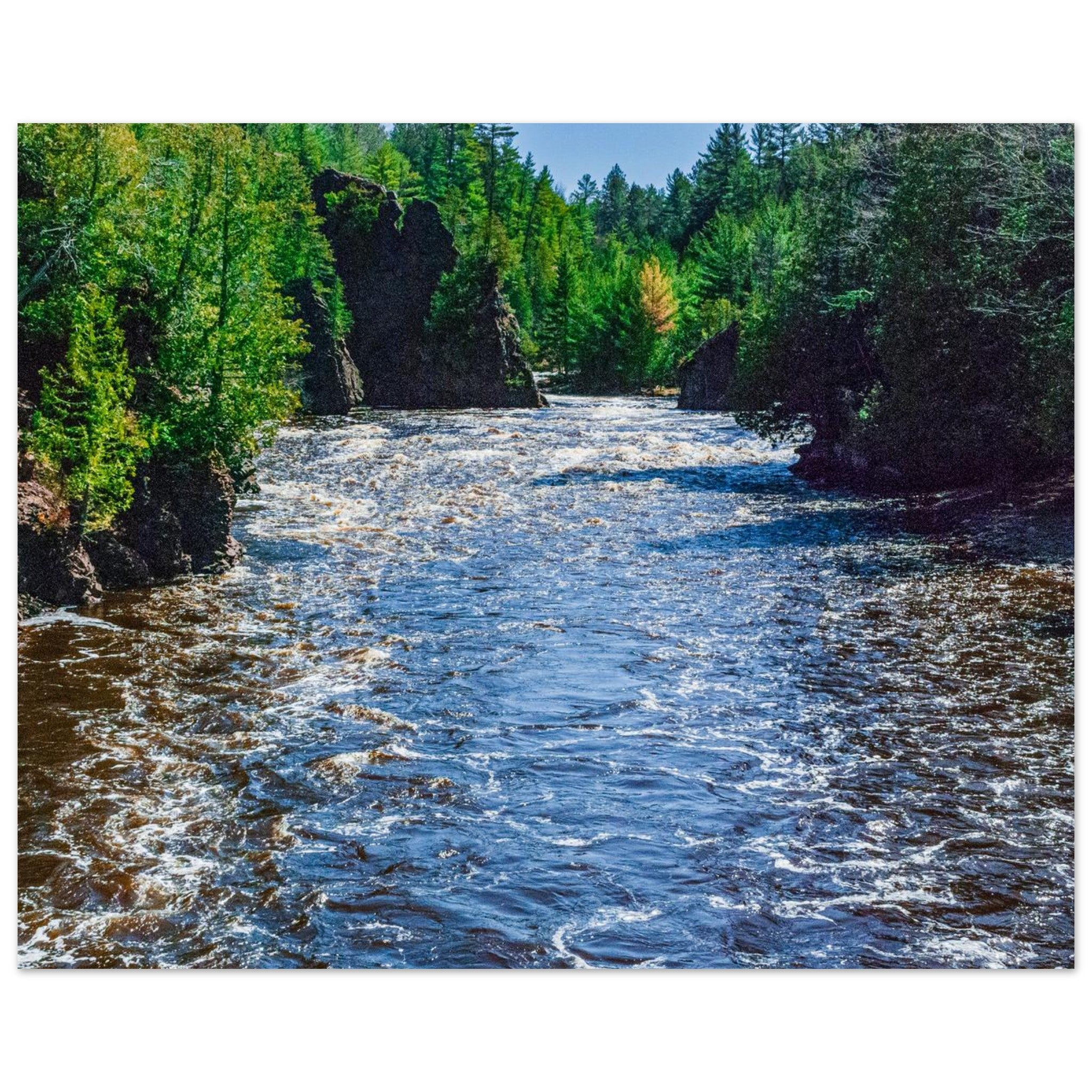 9d323ba3-b02d-44da-ab58-54c6758fbcb0