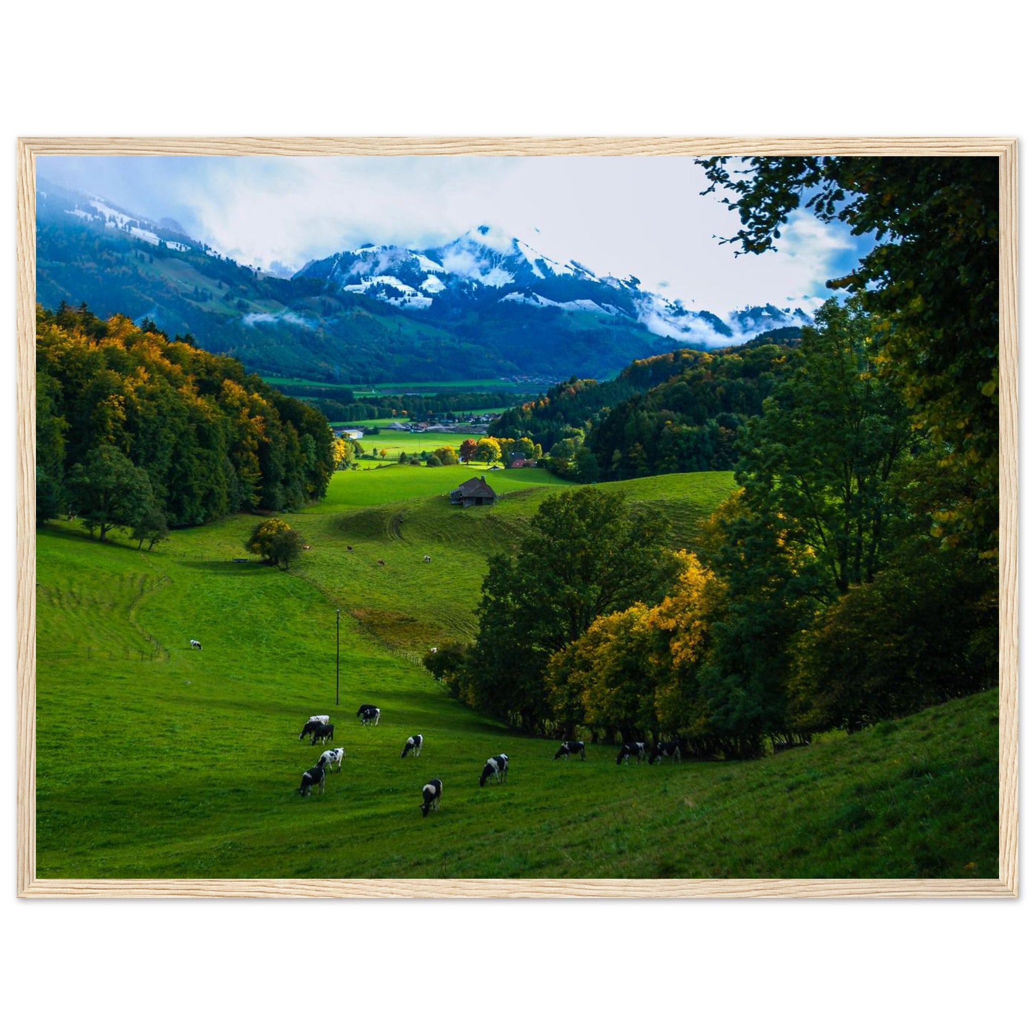 9d403e7f-b4b4-41cc-a2f9-ebc300cc1b5c