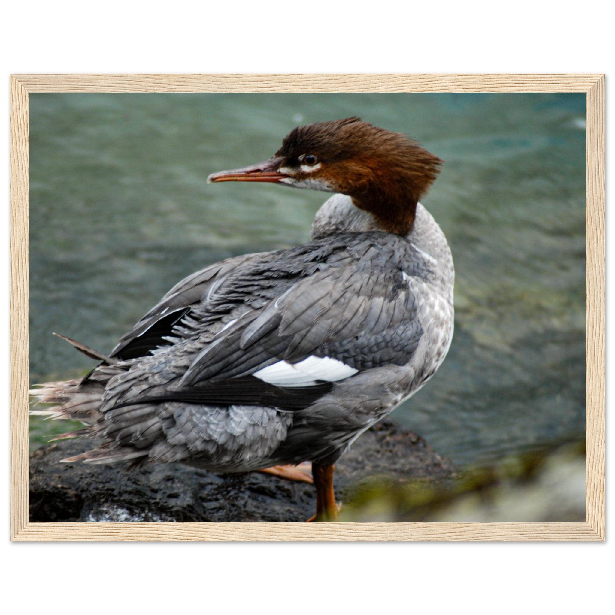 9ec9219d-c14d-4223-a62d-6110eb5dfe89