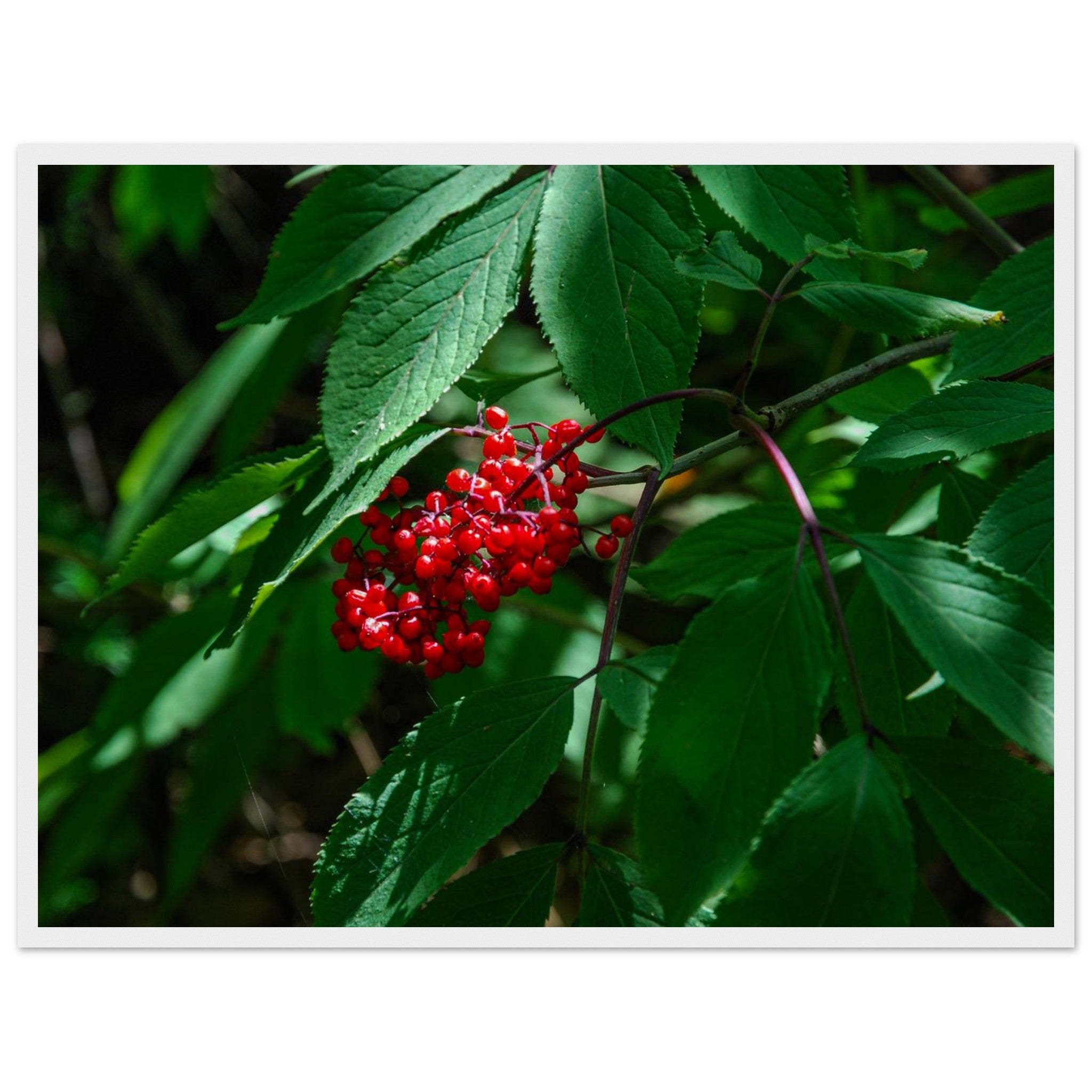 a0a45c60-71ba-48f6-a17d-274f90fb11f9