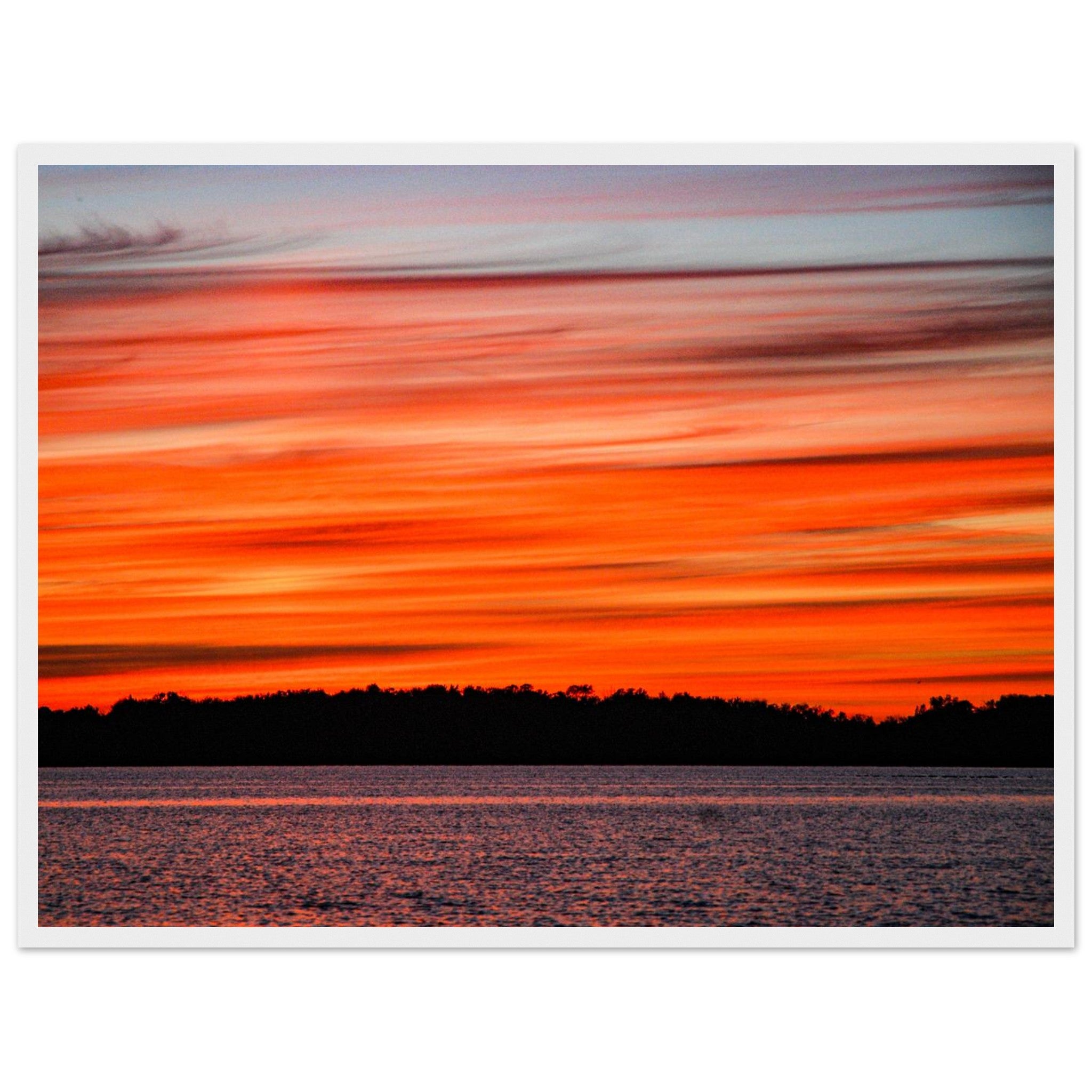 a0d41545-fbd5-4fd8-a648-9601c56561ab