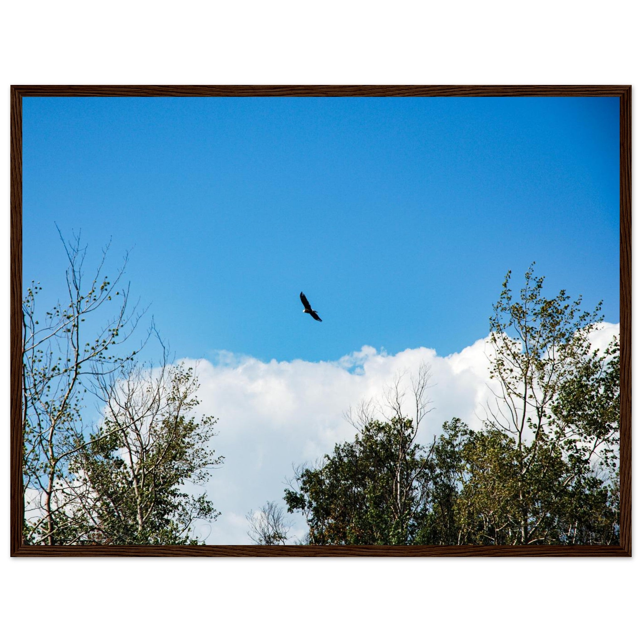 a21de24b-dbdf-453d-a2d3-3d0d31f0db1b