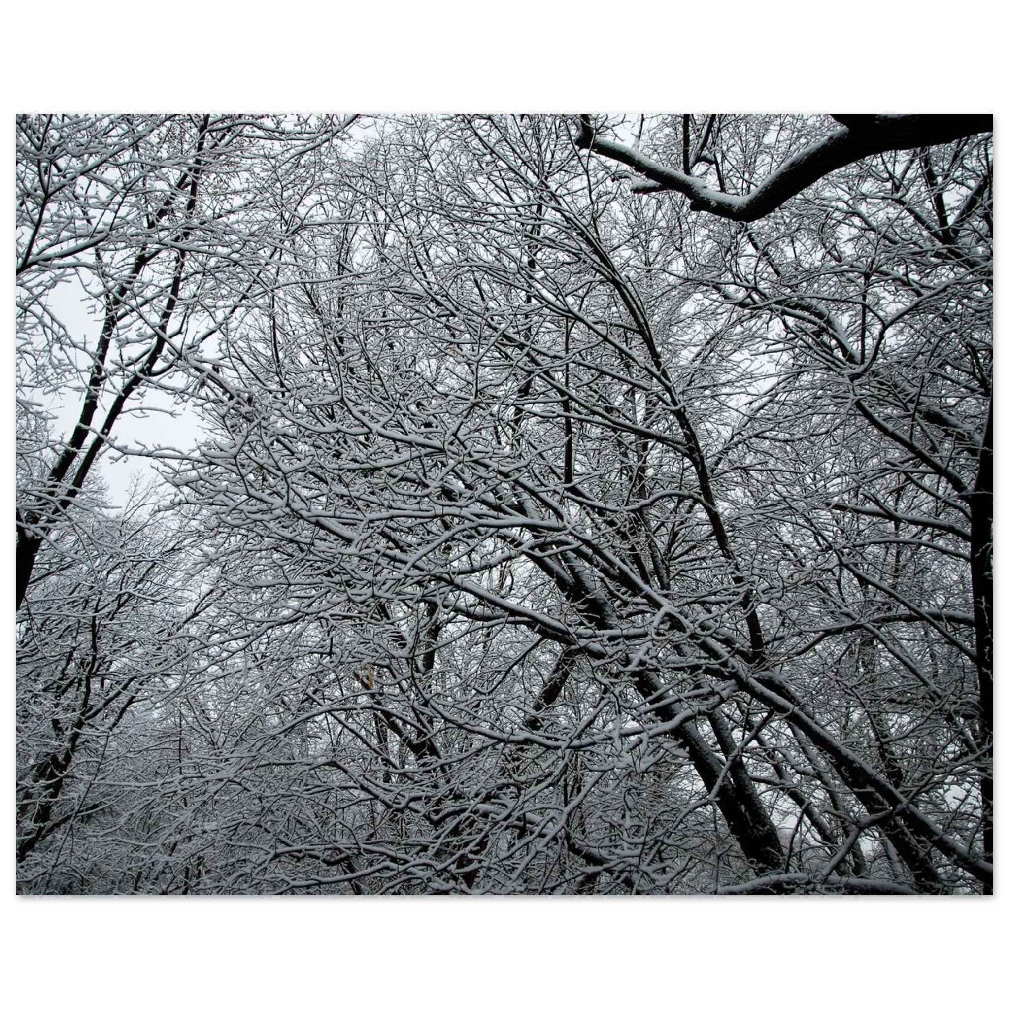 a3a2d8d0-5fed-4c52-a43c-718e325c2303