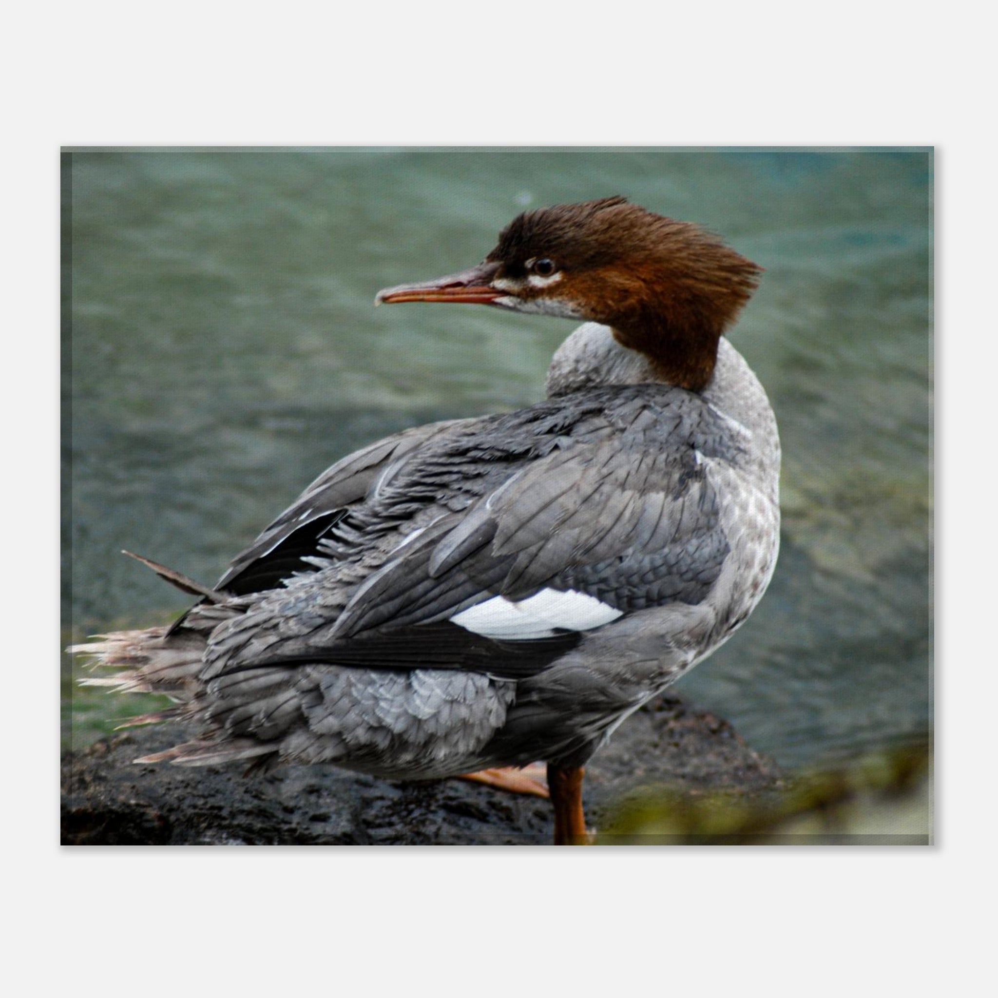 a509464d-f6b9-433c-8bcf-a2b54ead33ef