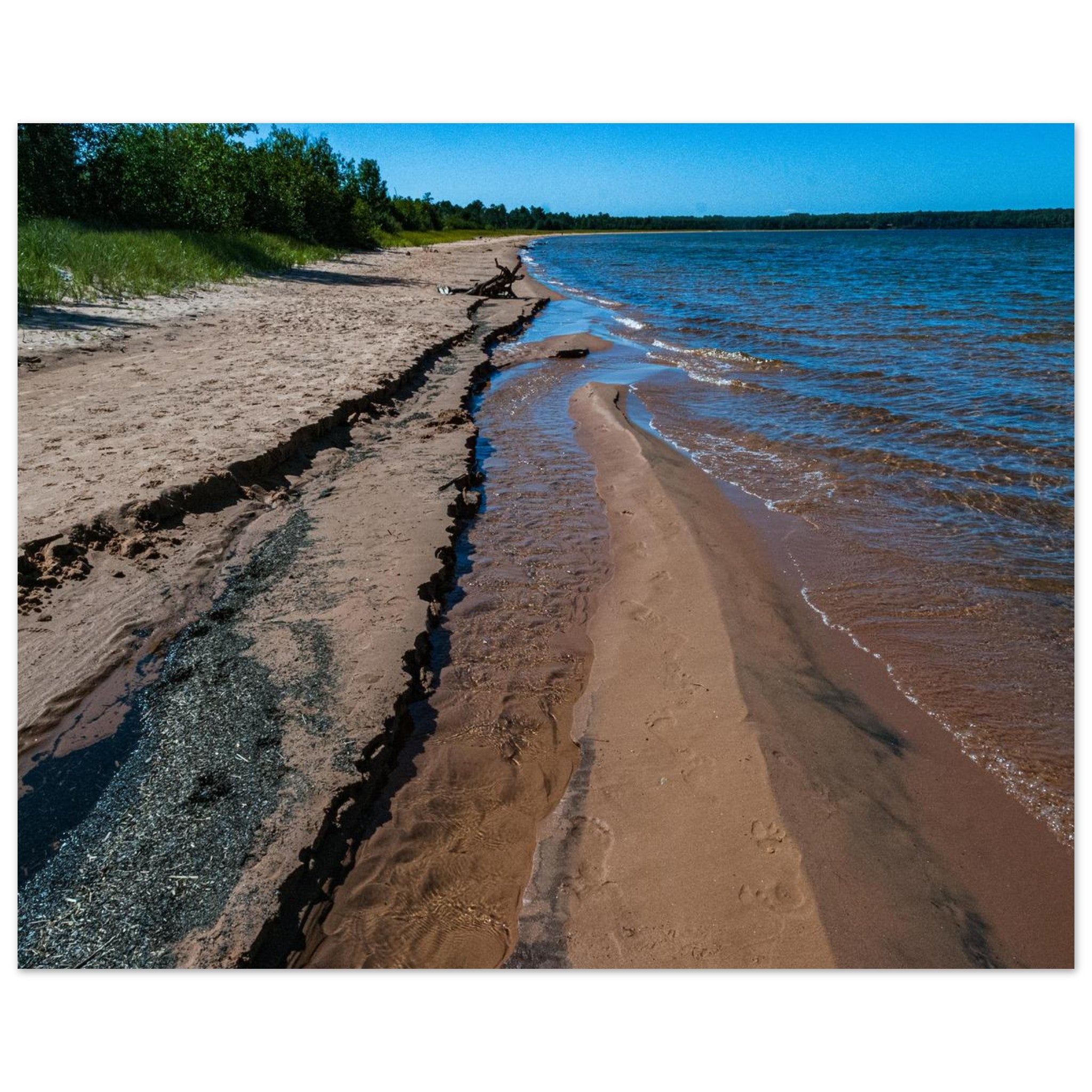 a5c3d1e8-752c-4e90-aa8b-6d3e61f8be21